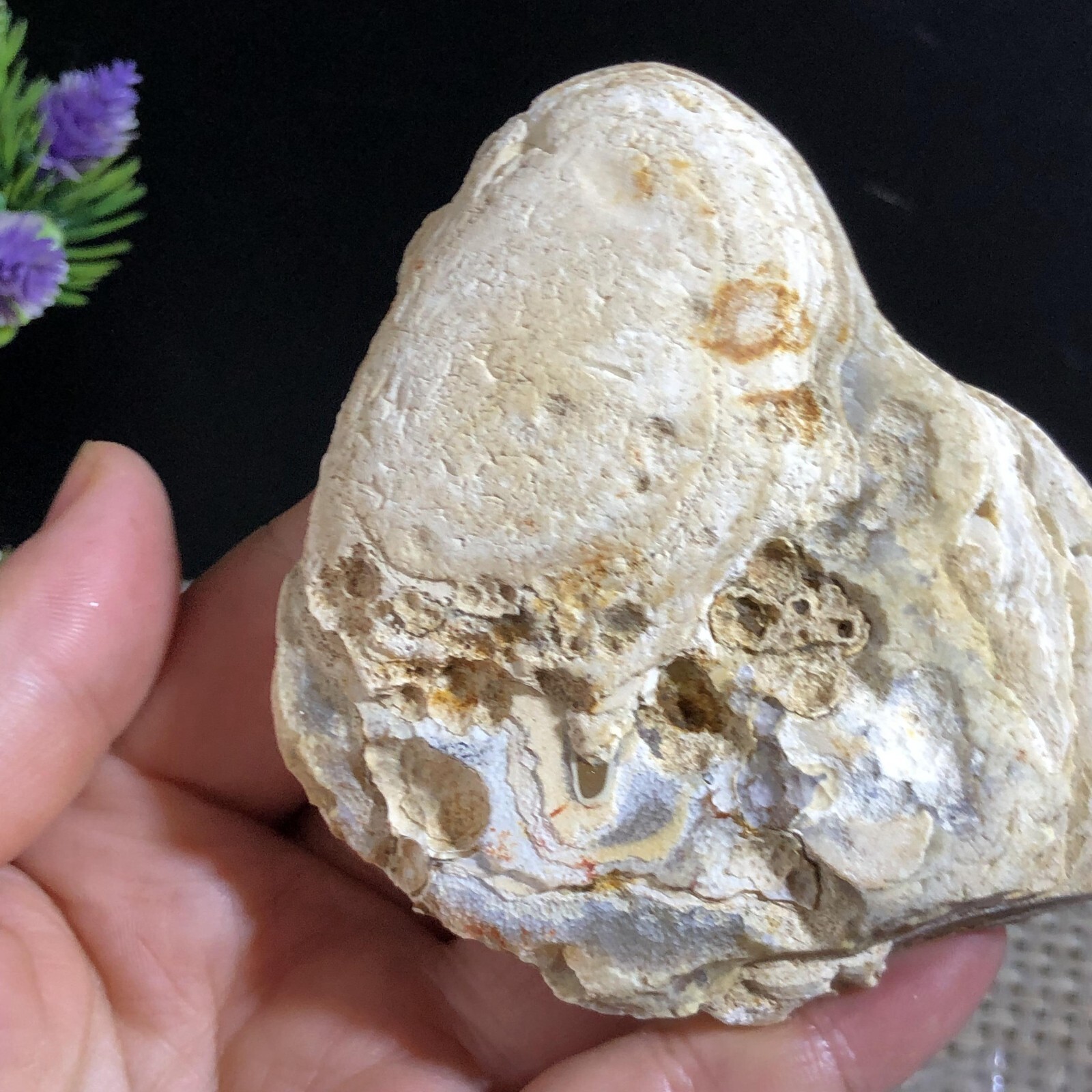 205g Bonsai Suiseki- Gobi Agate Eyes Stone-Rare Stunning Viewing #276