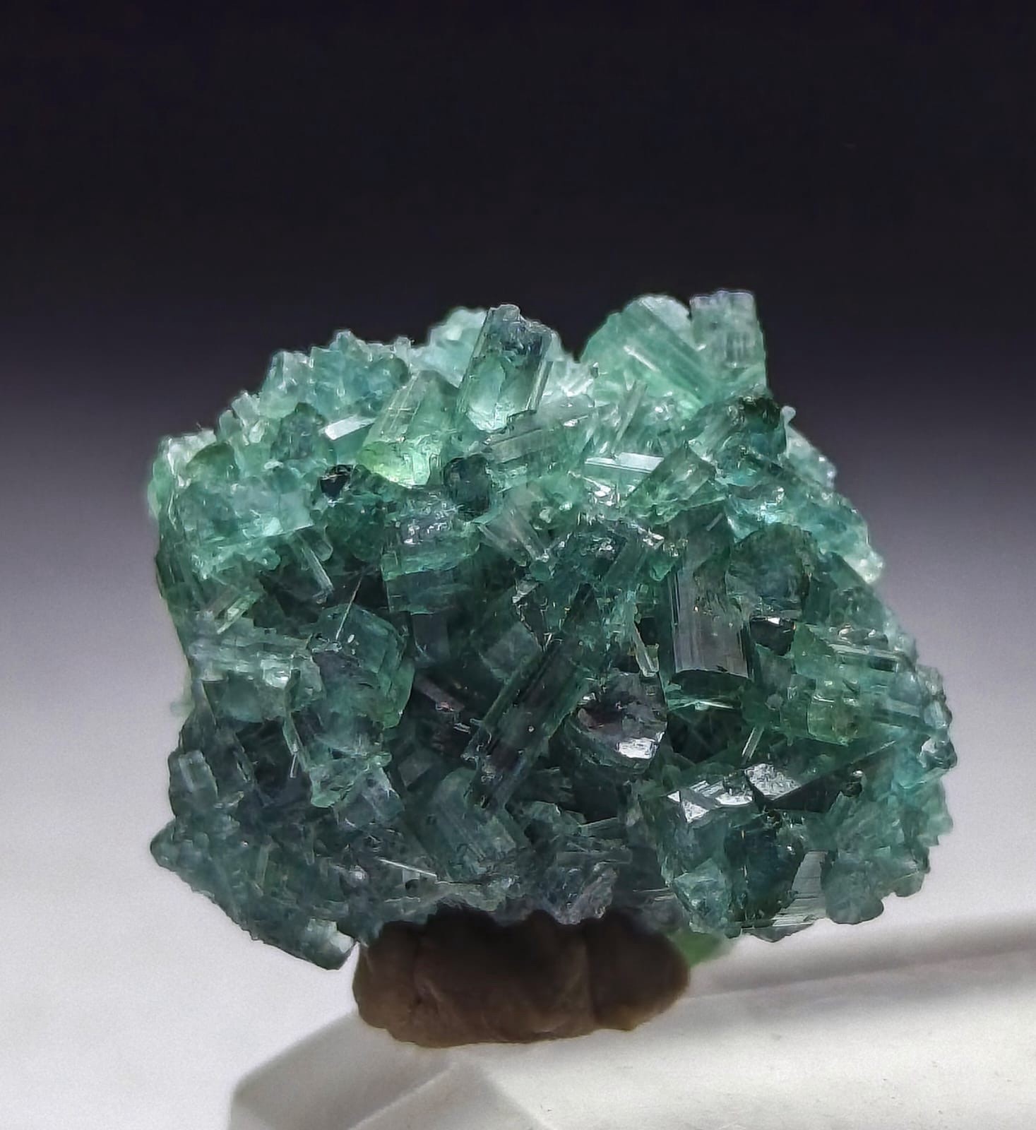 Natural Bluesh Tourmaline Crystal Cluster | Collector Mineral Specimen