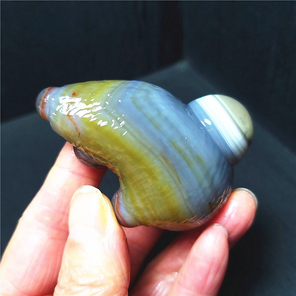 RARE 96.2G Natural Inner Mongolia Gobi Eye Agate Stone Collection AC888