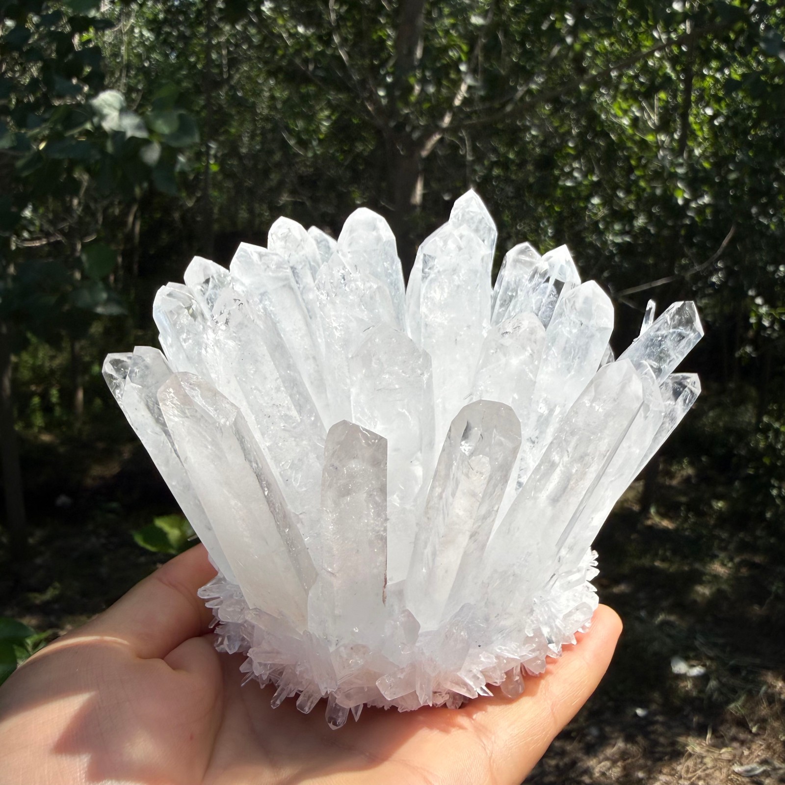 2.2LB Large Natural White Clear Quartz Cluster Crystal Mineral Healing 1pc