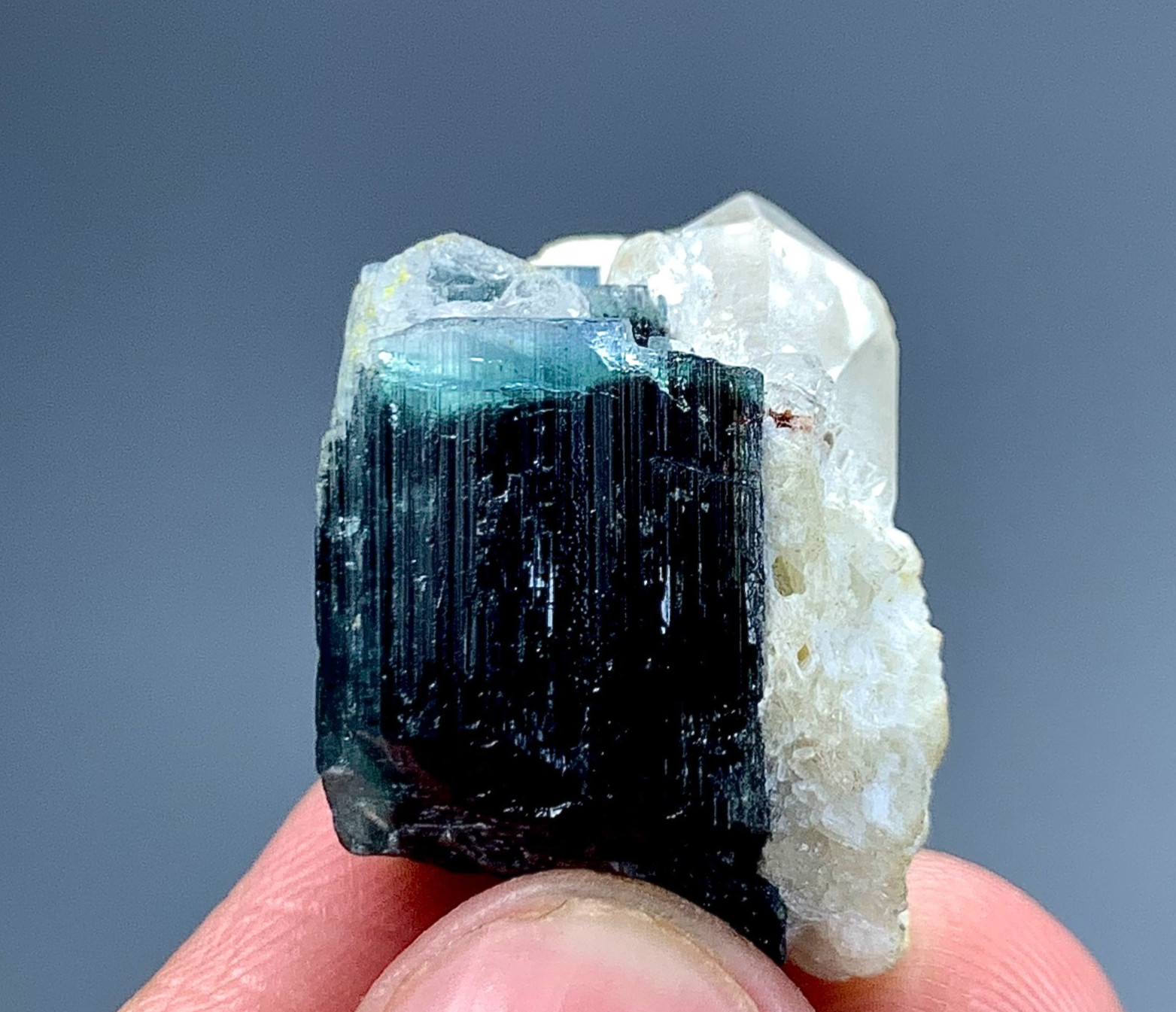 75 Carat Blue Cap Tourmaline Crystal With Quartz Specimen From Afghanistan