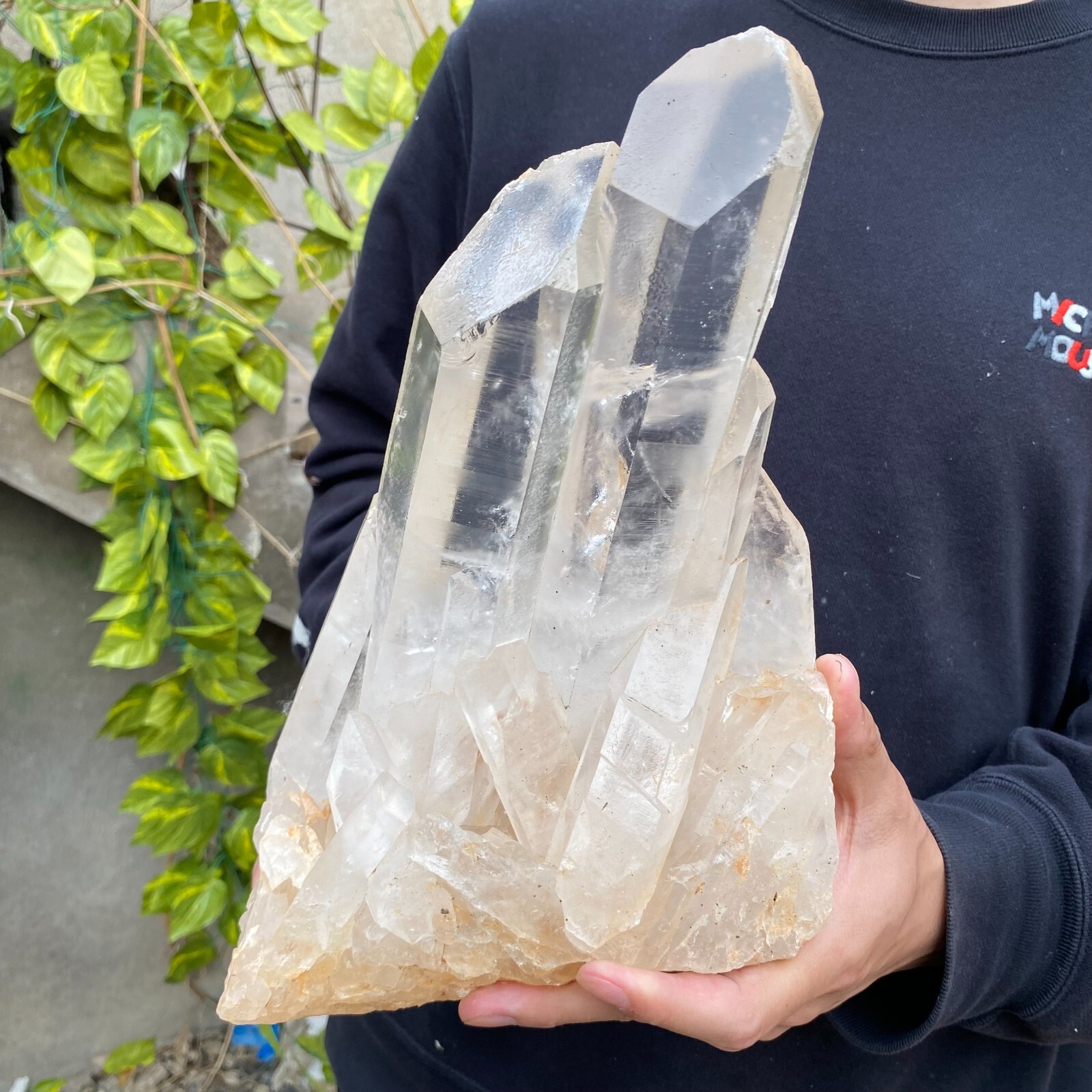 13.6lb Natural Clear White quart Crystal Cluster Raw Healing Specimen