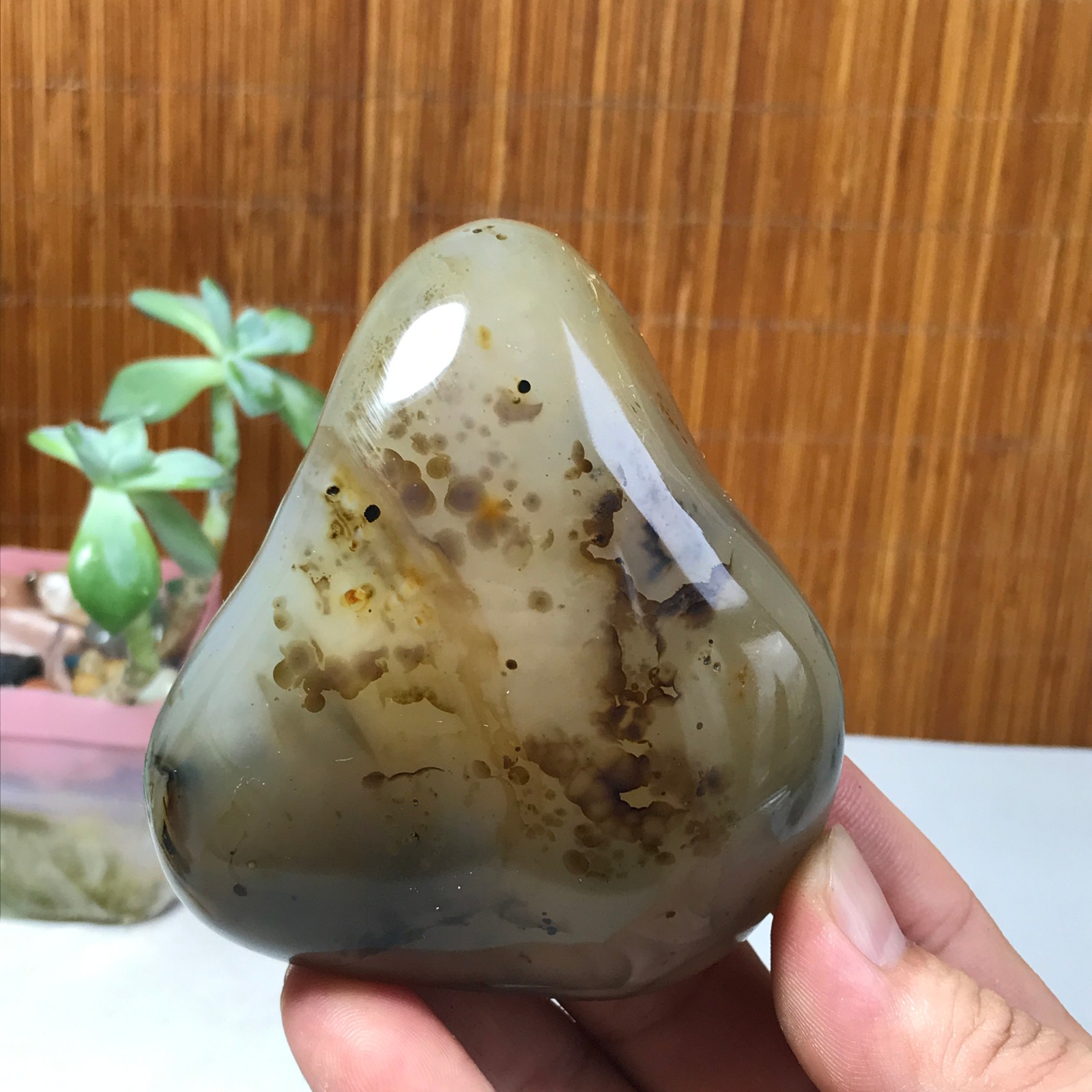 86-75-34mm Natural aquatic plants agate pretty Crystal specimens 300g A1638