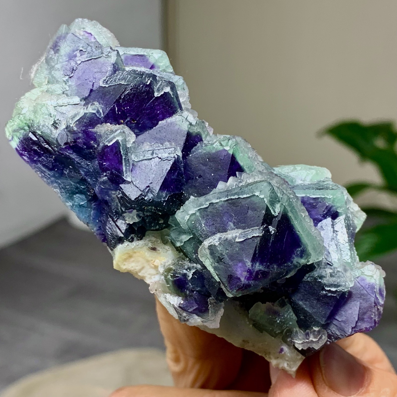 294G Rare transparent purple octahedron fluorite mineral crystal sample/China