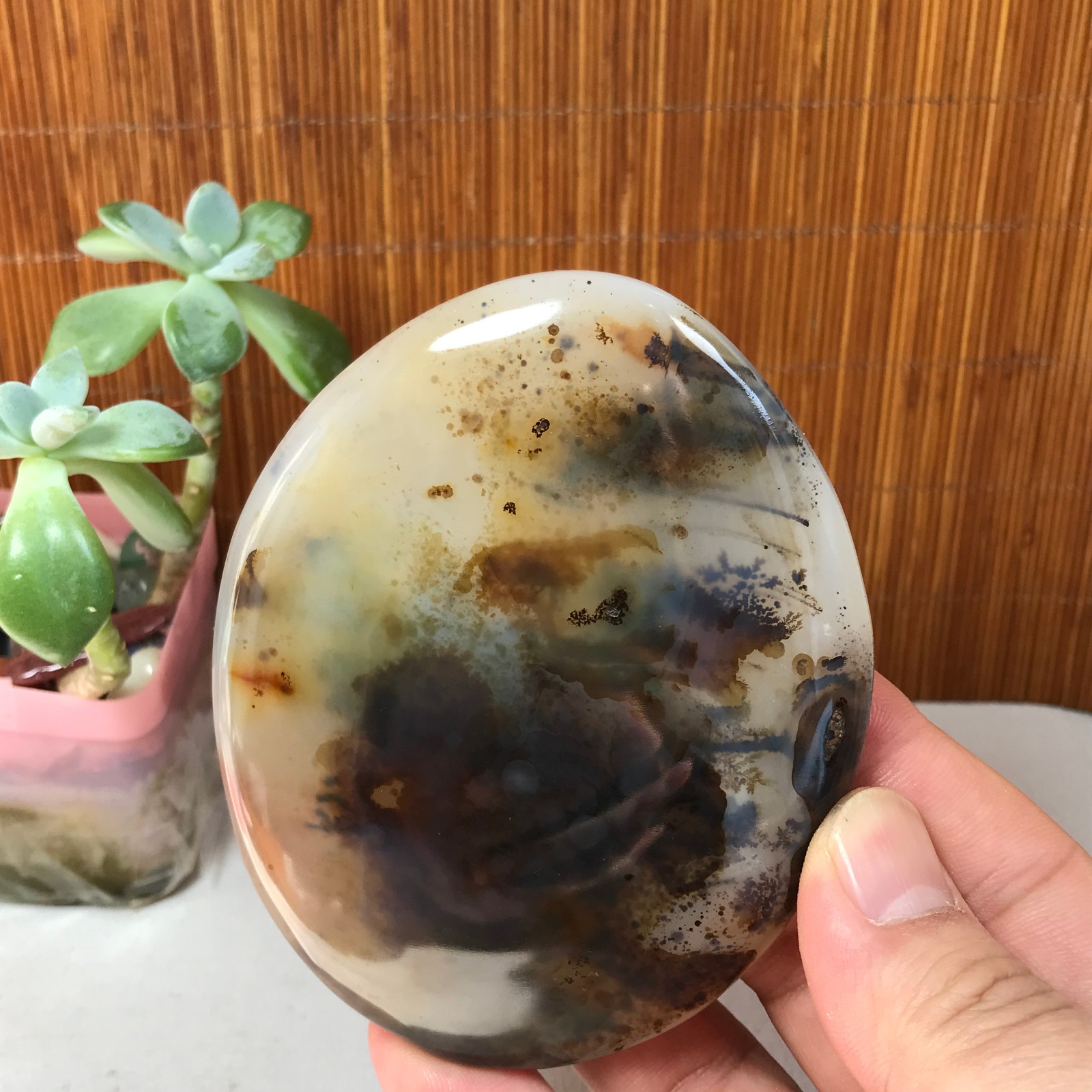 97-78-17mm Natural aquatic plants agate pretty Crystal specimens 197g A1874