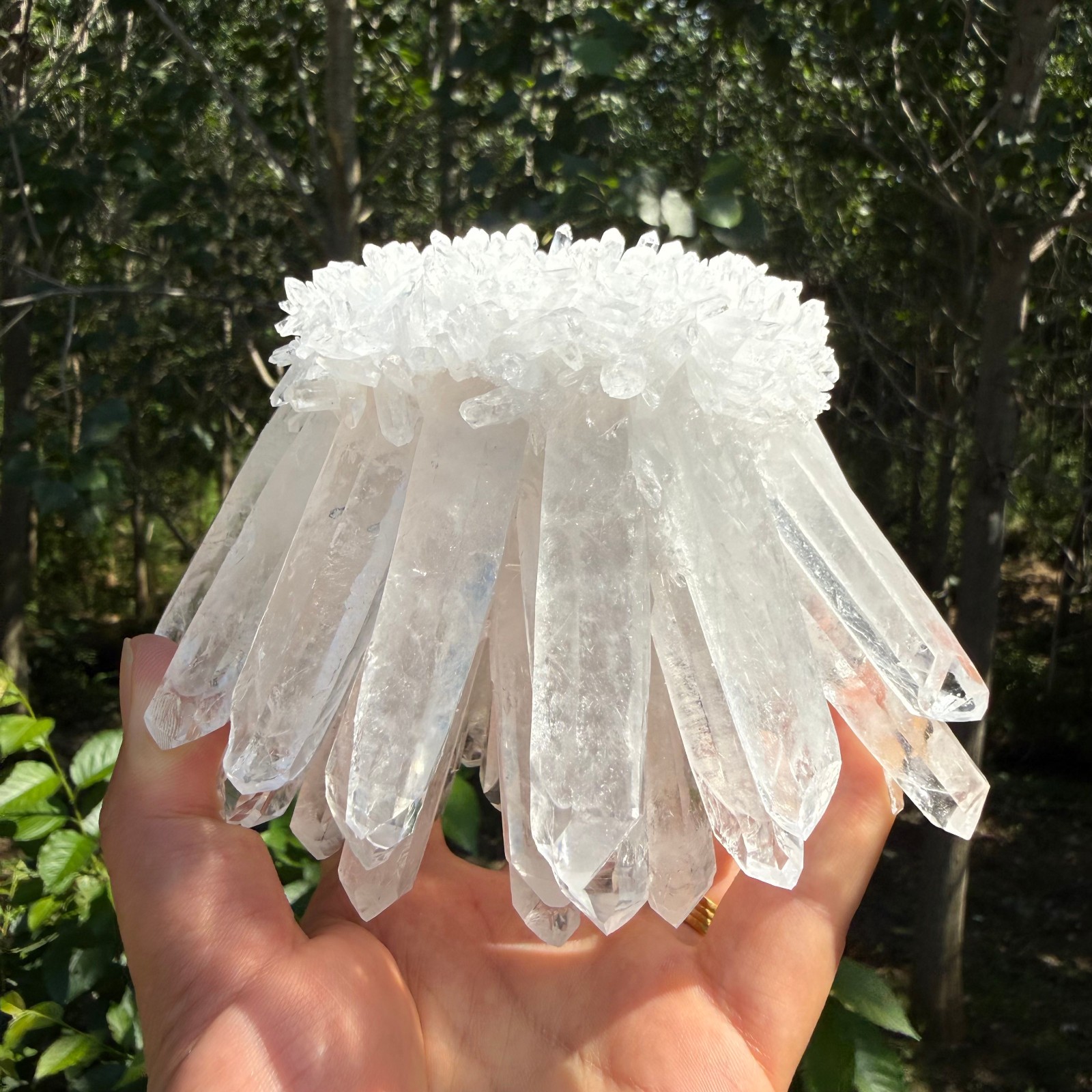 2.2LB Large Natural White Clear Quartz Cluster Crystal Mineral Healing 1pc