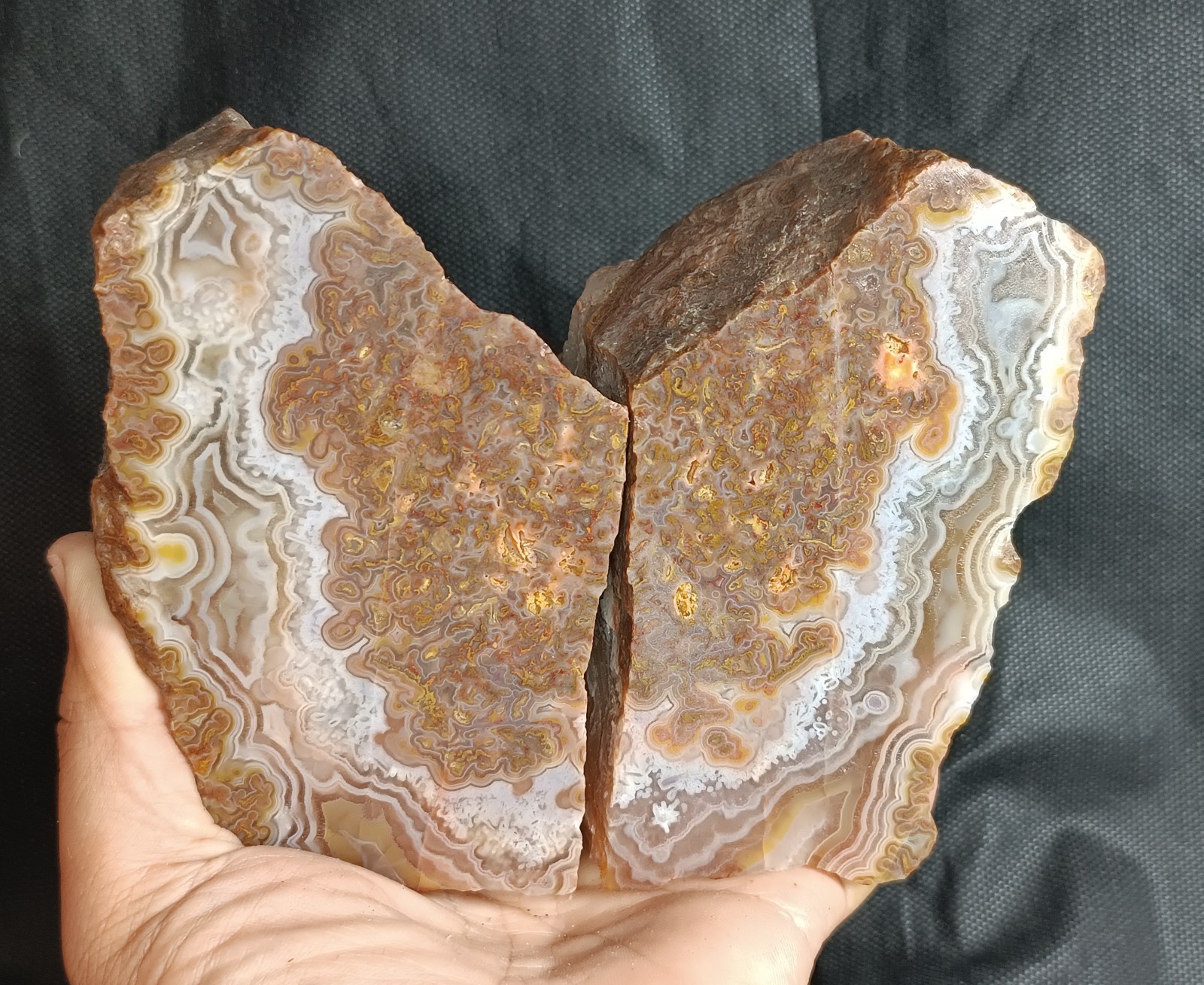 1490g/3.29 lb turkish banded plume agate stone rough, customs duty included