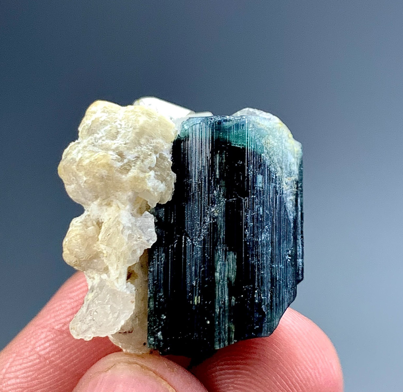 75 Carat Blue Cap Tourmaline Crystal With Quartz Specimen From Afghanistan