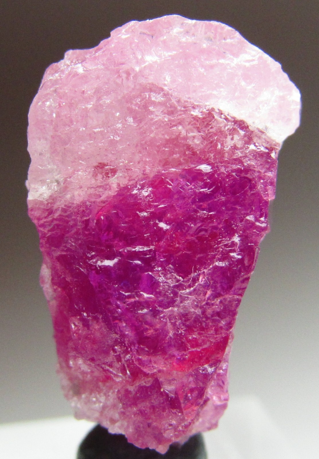 DRAMATIC STUNNING VIBRANT GEM PEZZOTTAITE BERYL CRYSTAL!!! MADAGASCAR NEW FIND