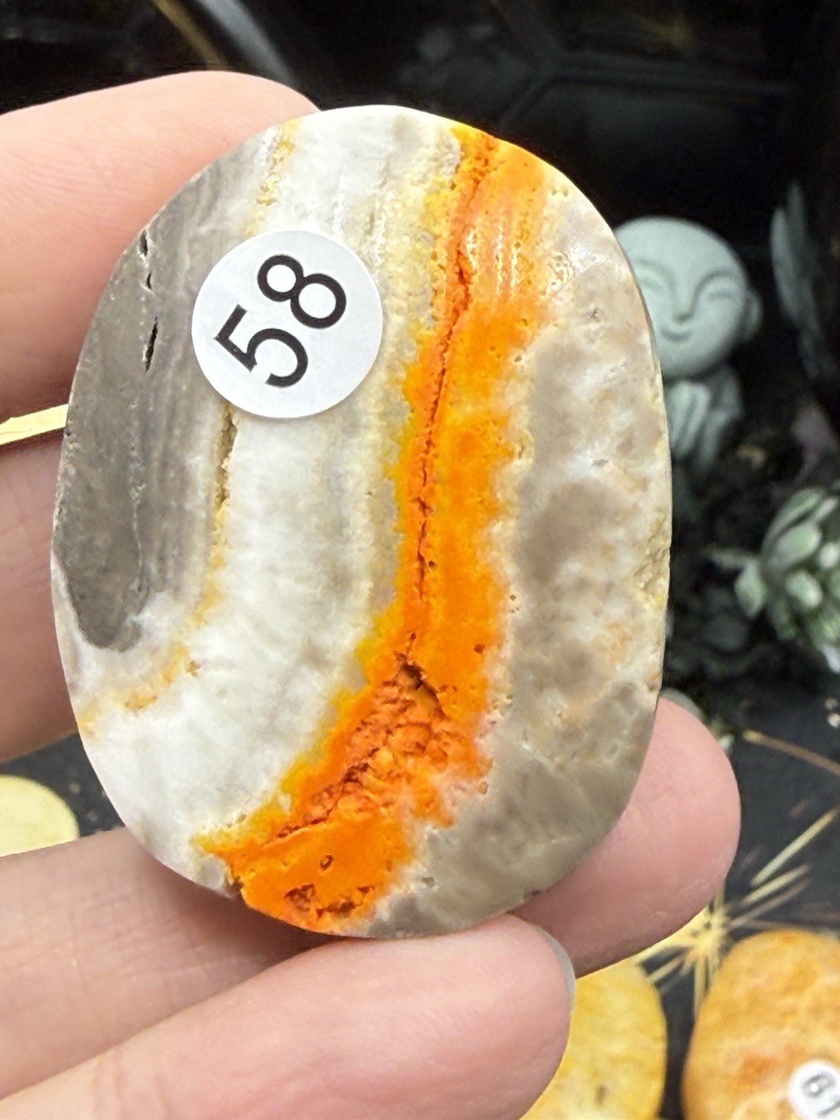 Natural Bumblebee Jasper Palms Druze vugs raw Free shipping