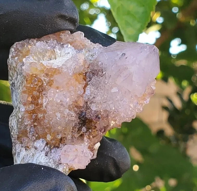 Amethyst Spirit Quartz Crystal Cactus Specimen 72g – South Africa