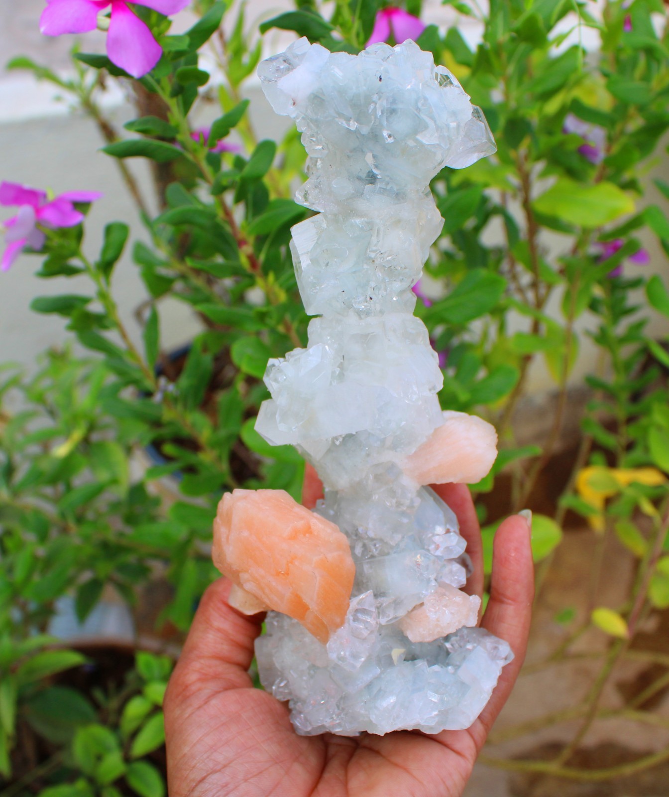 Apophyllite Crystals w/ Stilbite Formation Minerals Specimen ( 20×7 ) REPAIR