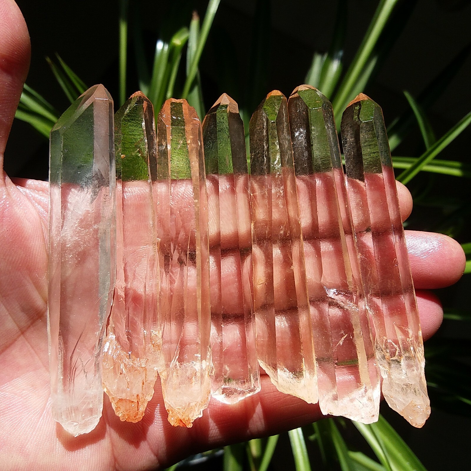 165g 7pcs Natural Crystal Quartz Single Point wand Rough Original Specimens D413