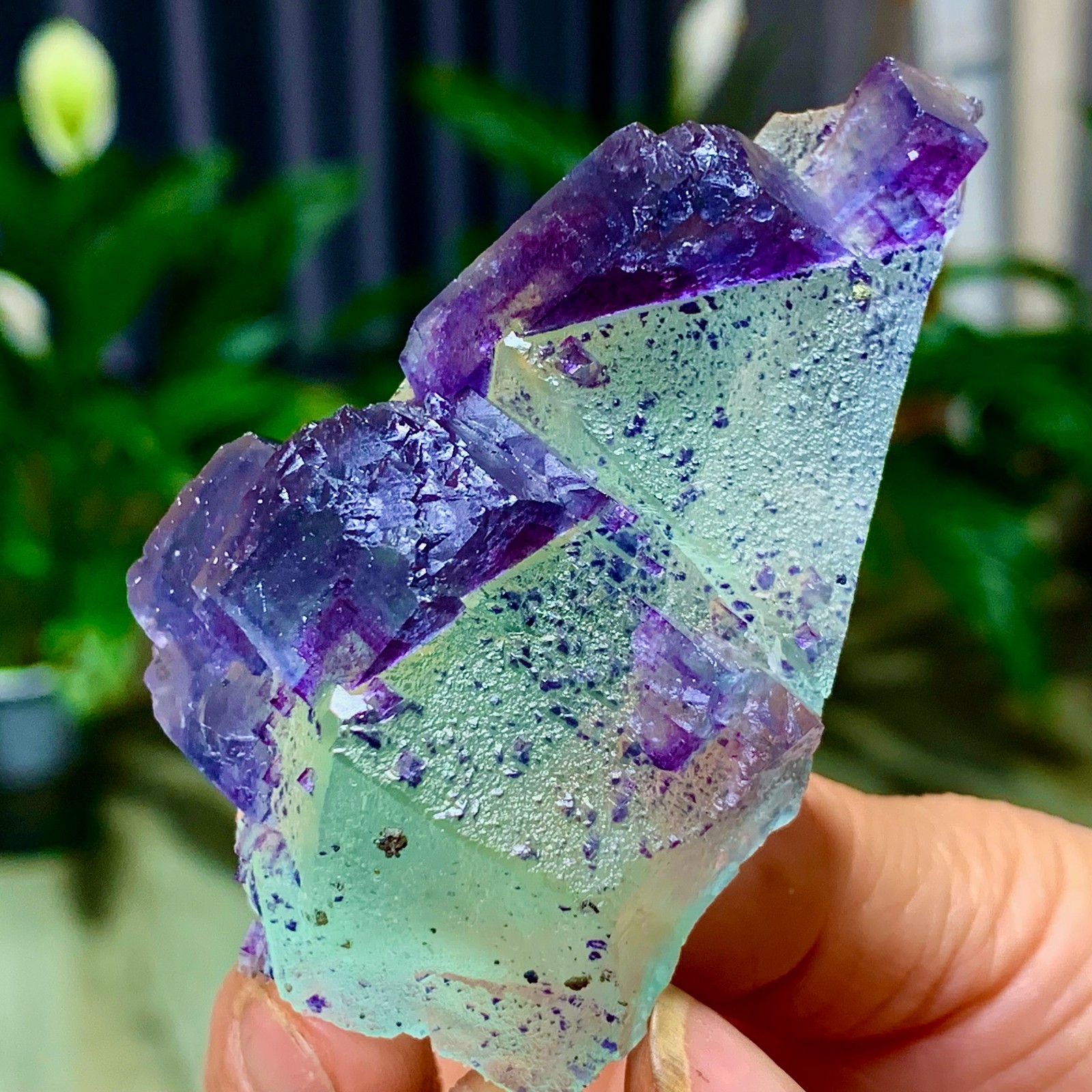86G Rare transparent green purple cubic Zhejiang fluorite mineral sample