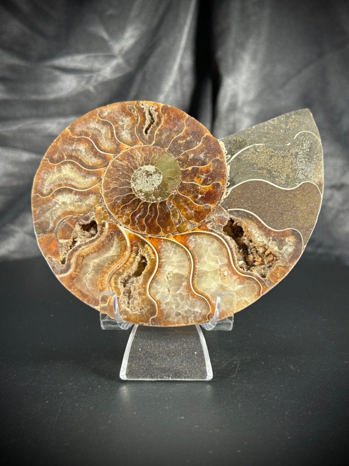 4.32″ Sliced Ammonite Half With Acrylic Stand 5.5oz (157 grams)