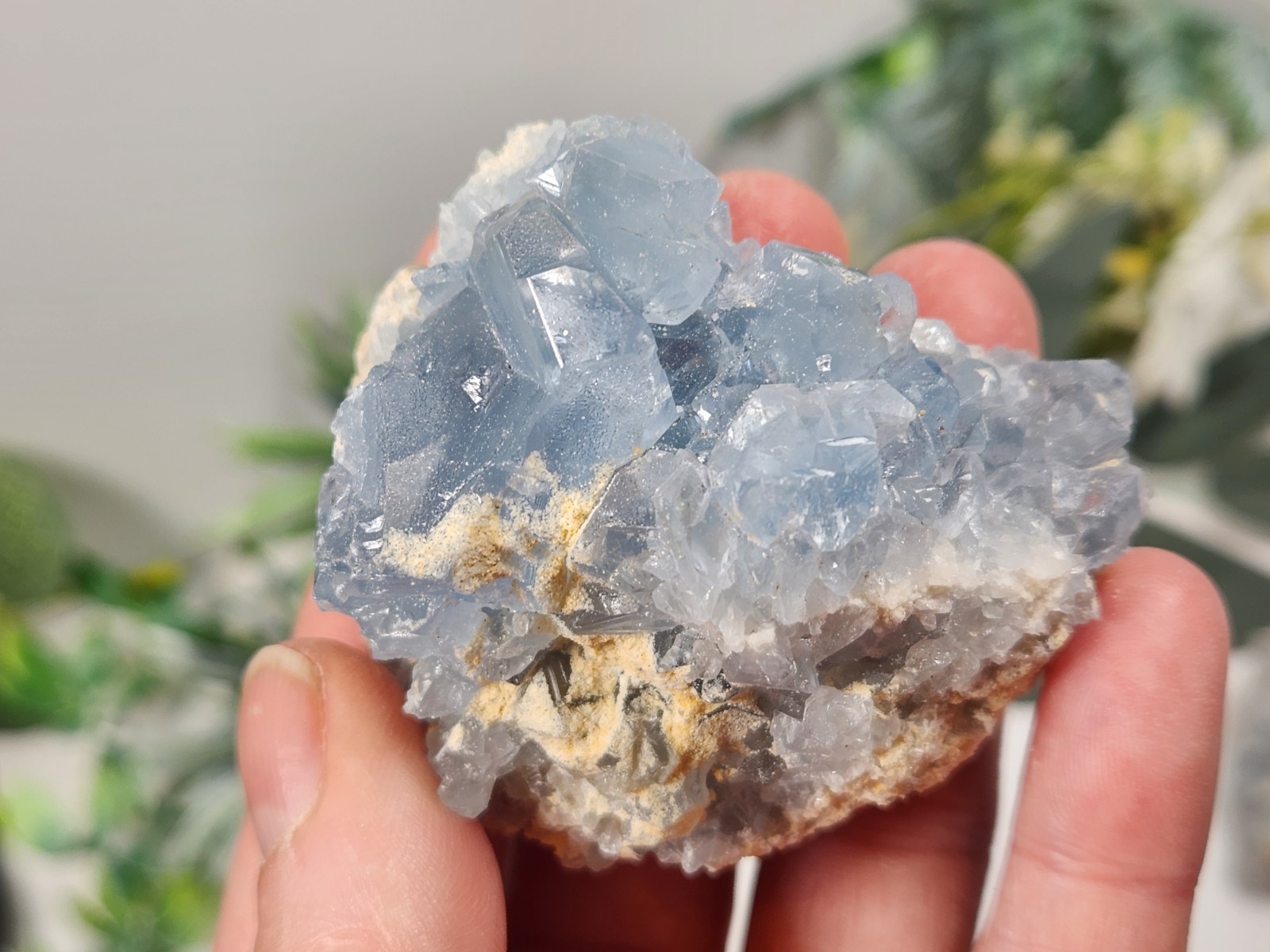 5pc Celestite 2 Ib Lot Crystal Clusters From Madagascar. Exact Specimens Cellot2