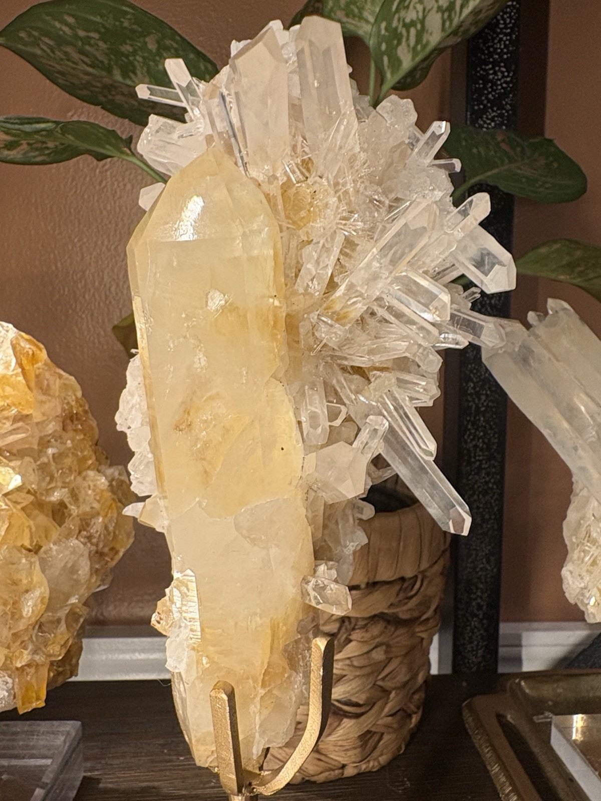 Golden Lemurian Quartz with Custom Stand From Brazil Quartz is 8in x 3in