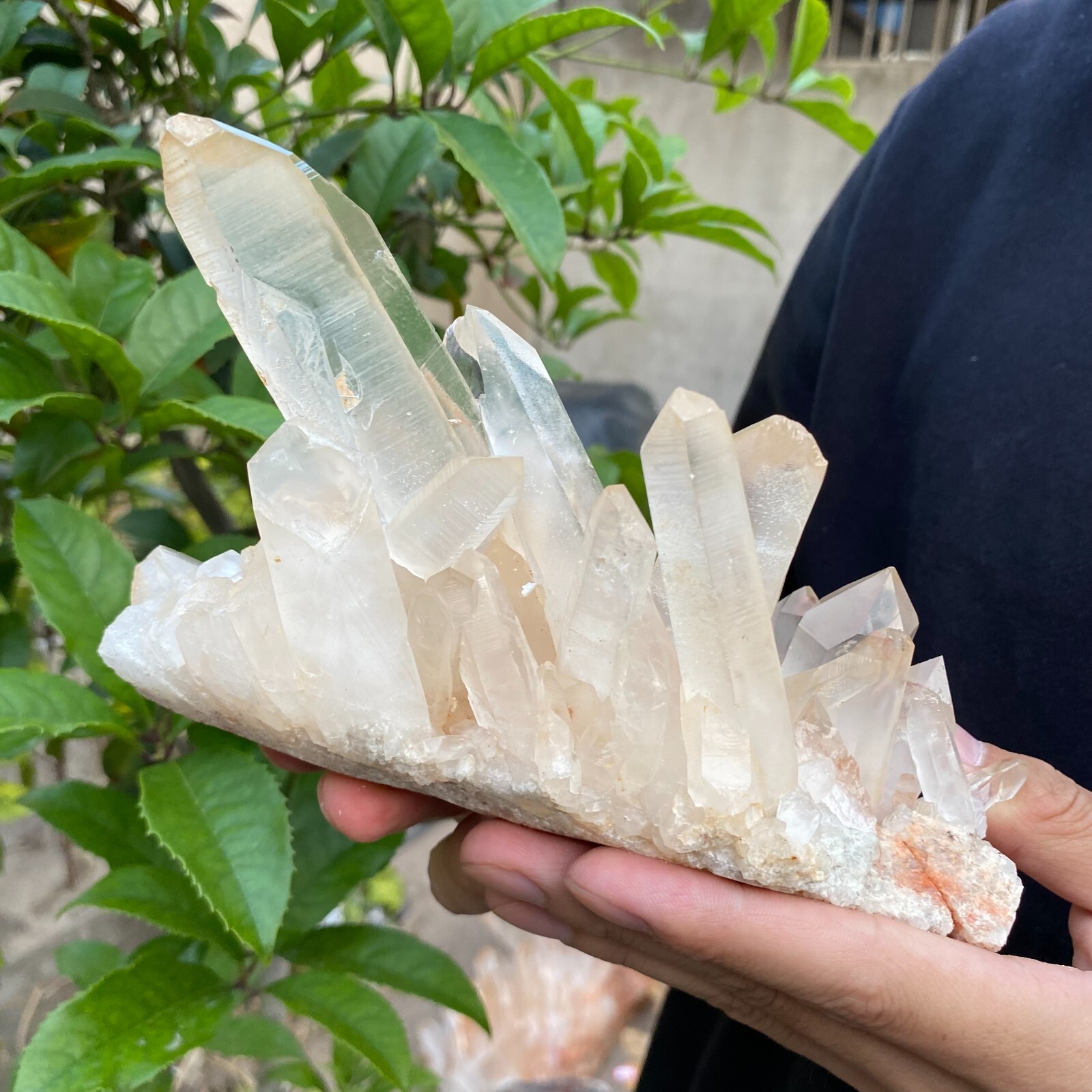 2lb Natural Clear White quart Crystal Cluster Raw Healing Specimen