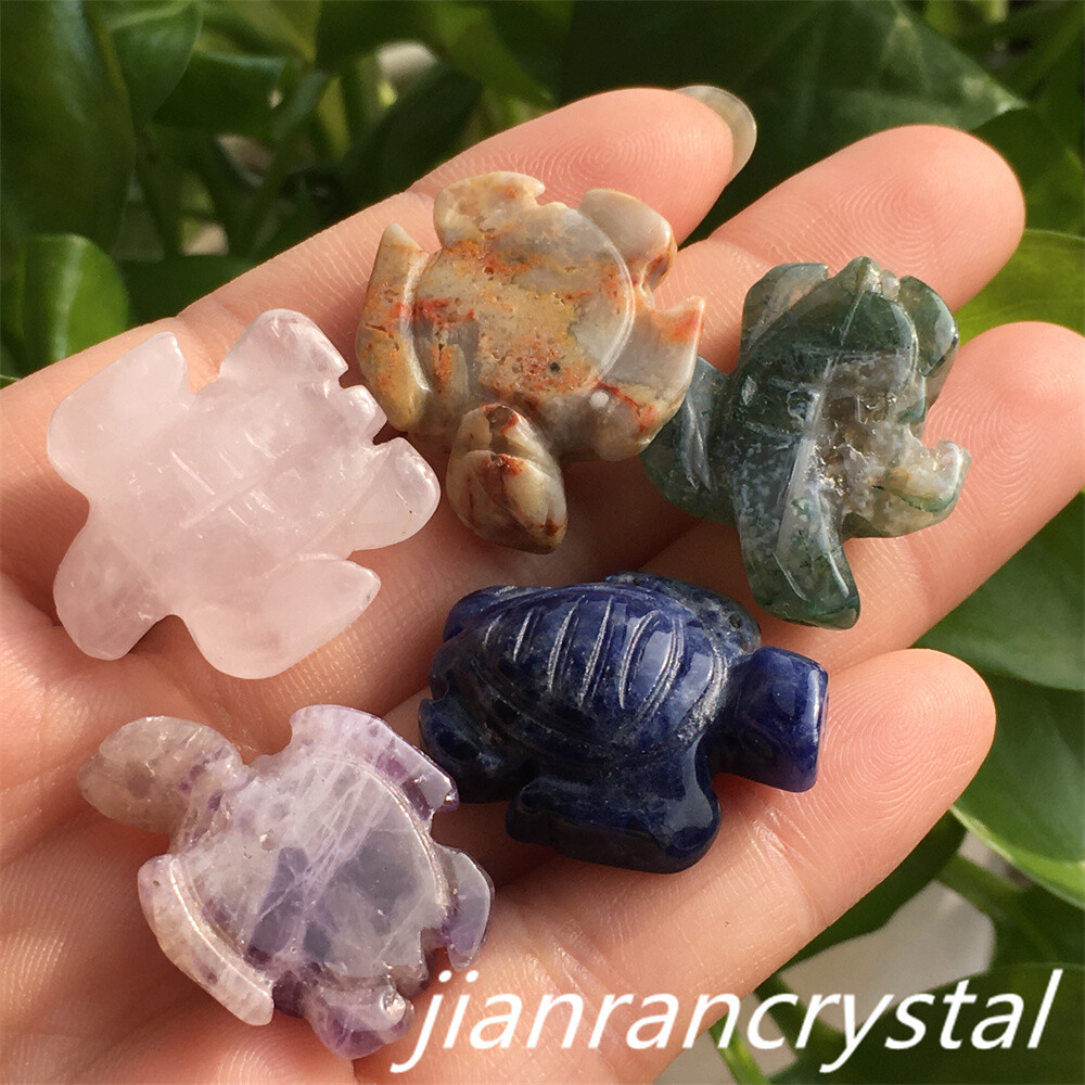 5pcs Mix Natural Quartz Tortoise Carved Mini Quartz Crystal Skull Reiki Healing