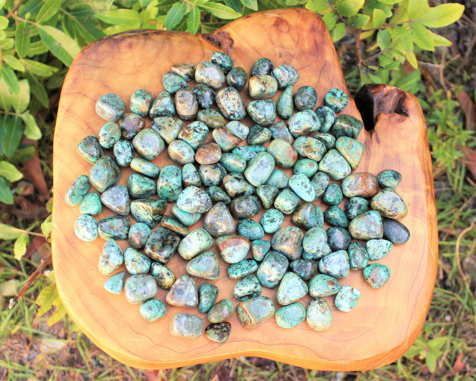 African Turquoise Tumbled Stones: Choose Ounces or lb Bulk Wholesale Lots