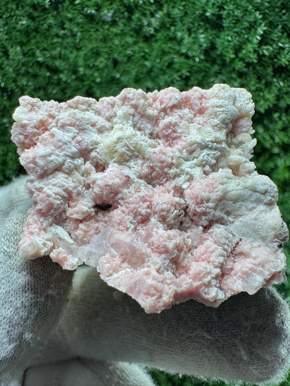 Solid! LOVELY PINK Rhodochrosite from DEPLETED mine / N498