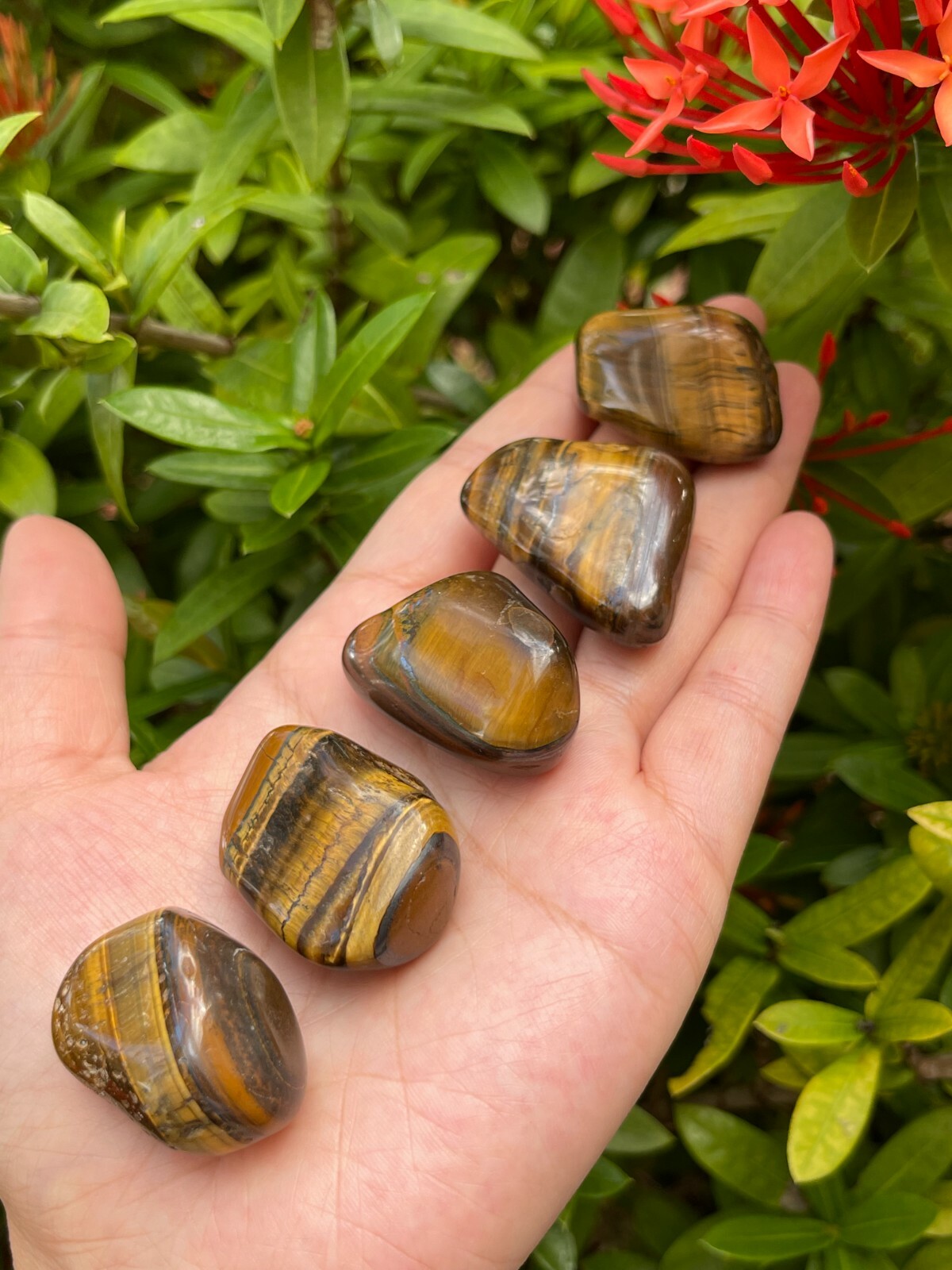 Grade A++ Gold Tiger Eye Tumbled Stones, 1″-1.5″ Tumbled Tiger Eye,Pick How Many