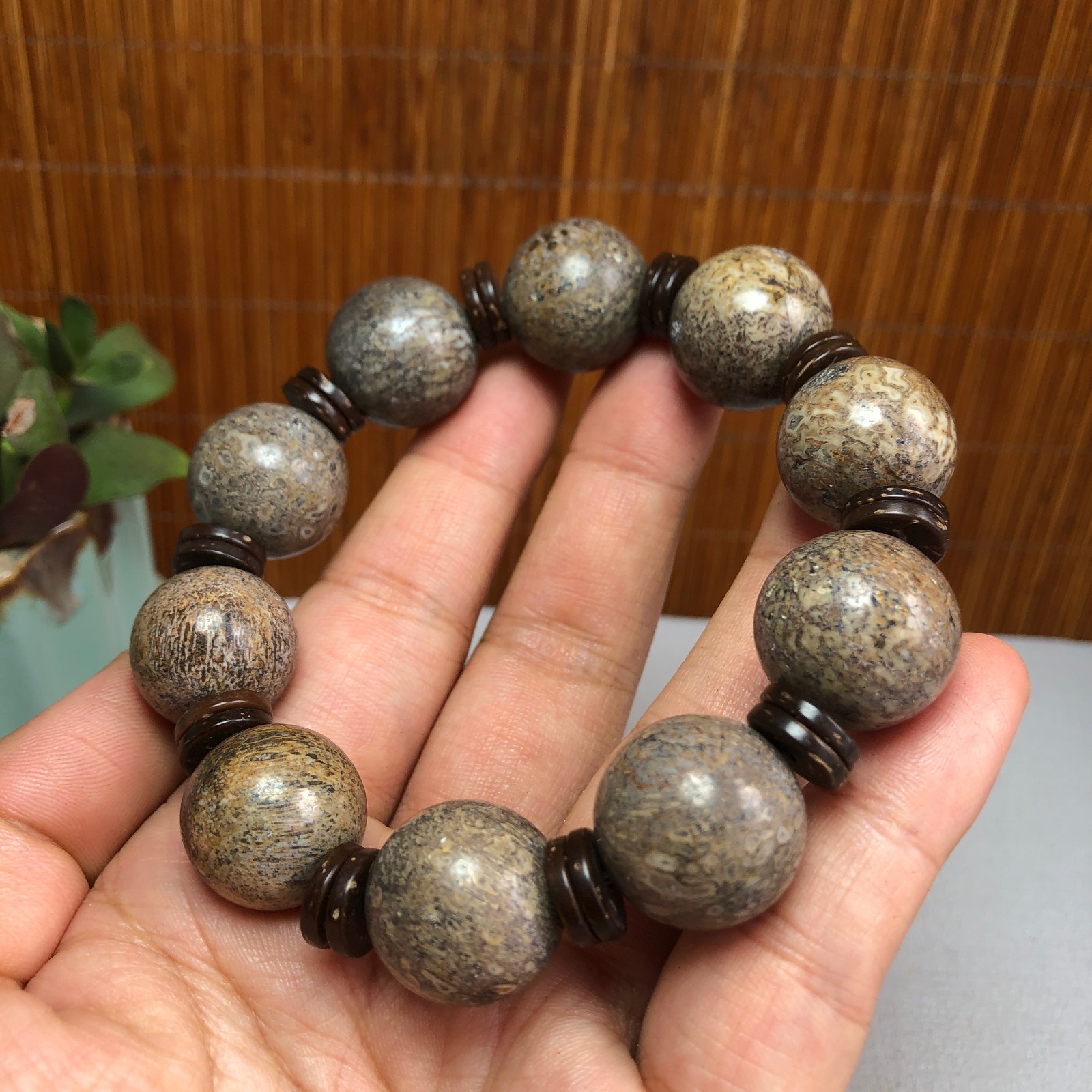 17+mm Natural dinosaur bone gemstone Crystal chain bracelet Specimen 87g A1077