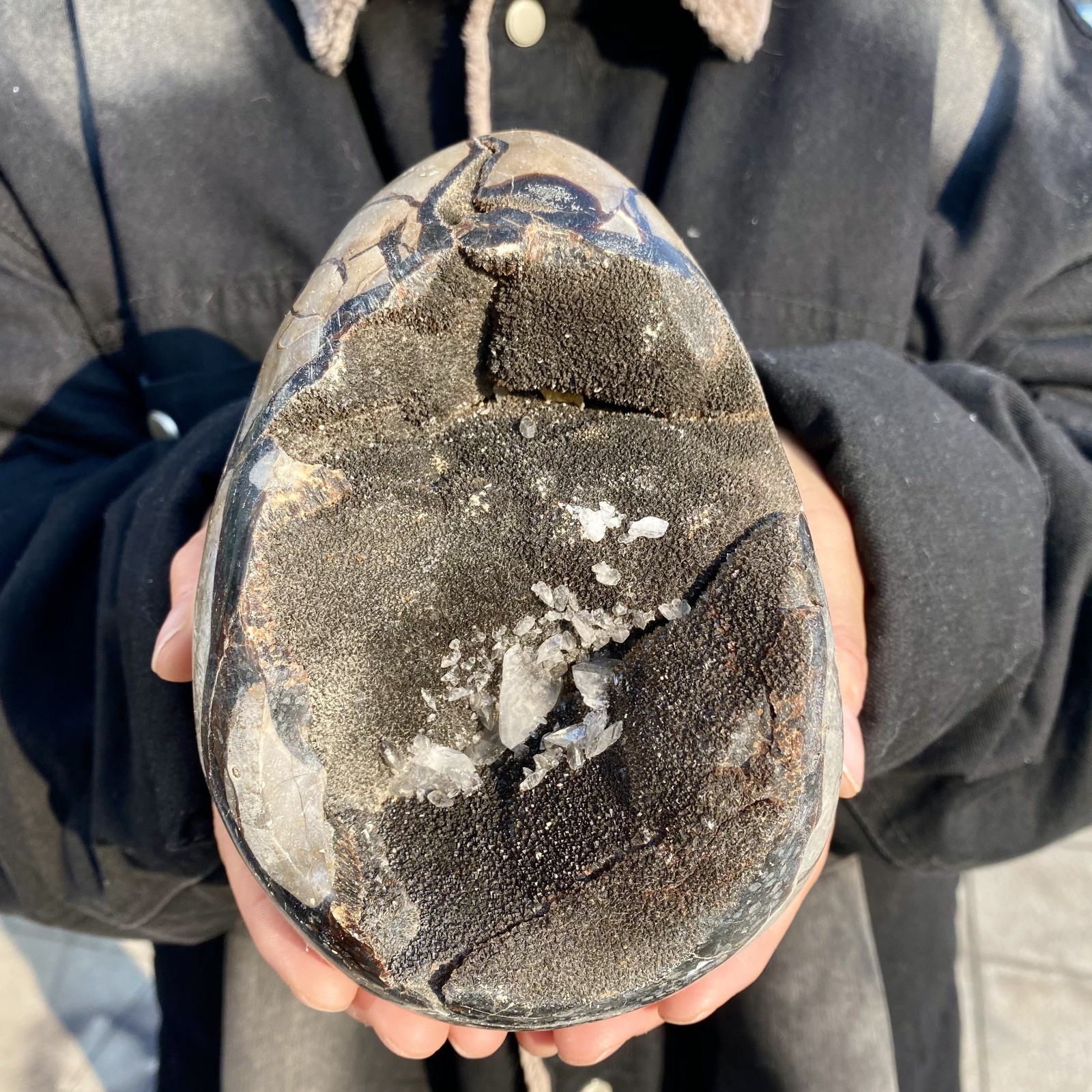 5.2LB natural turtle shell stone egg spiritual healing