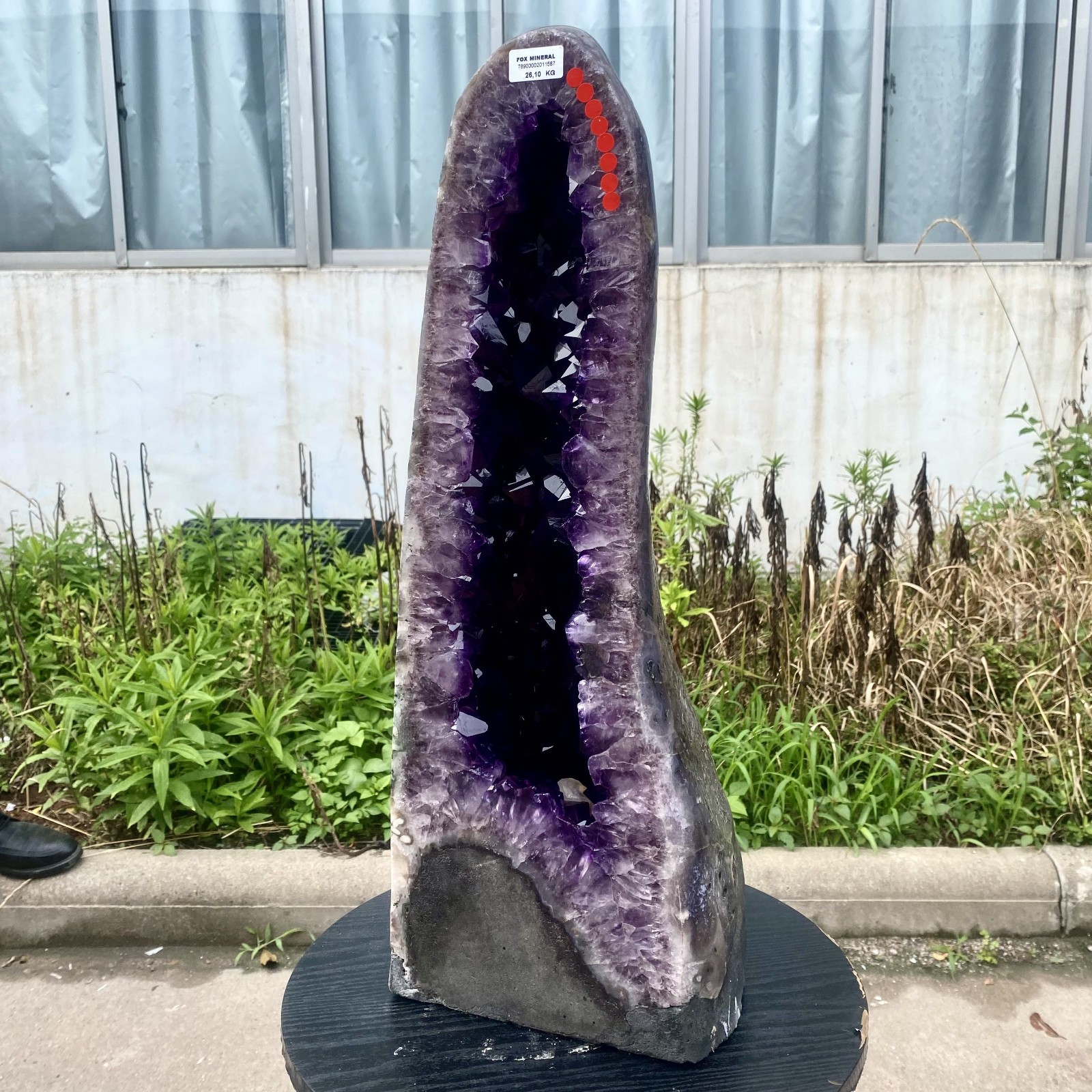 57LB Large Natural Amethyst Geode Cathedral Crystal Cluster Specimen Healing