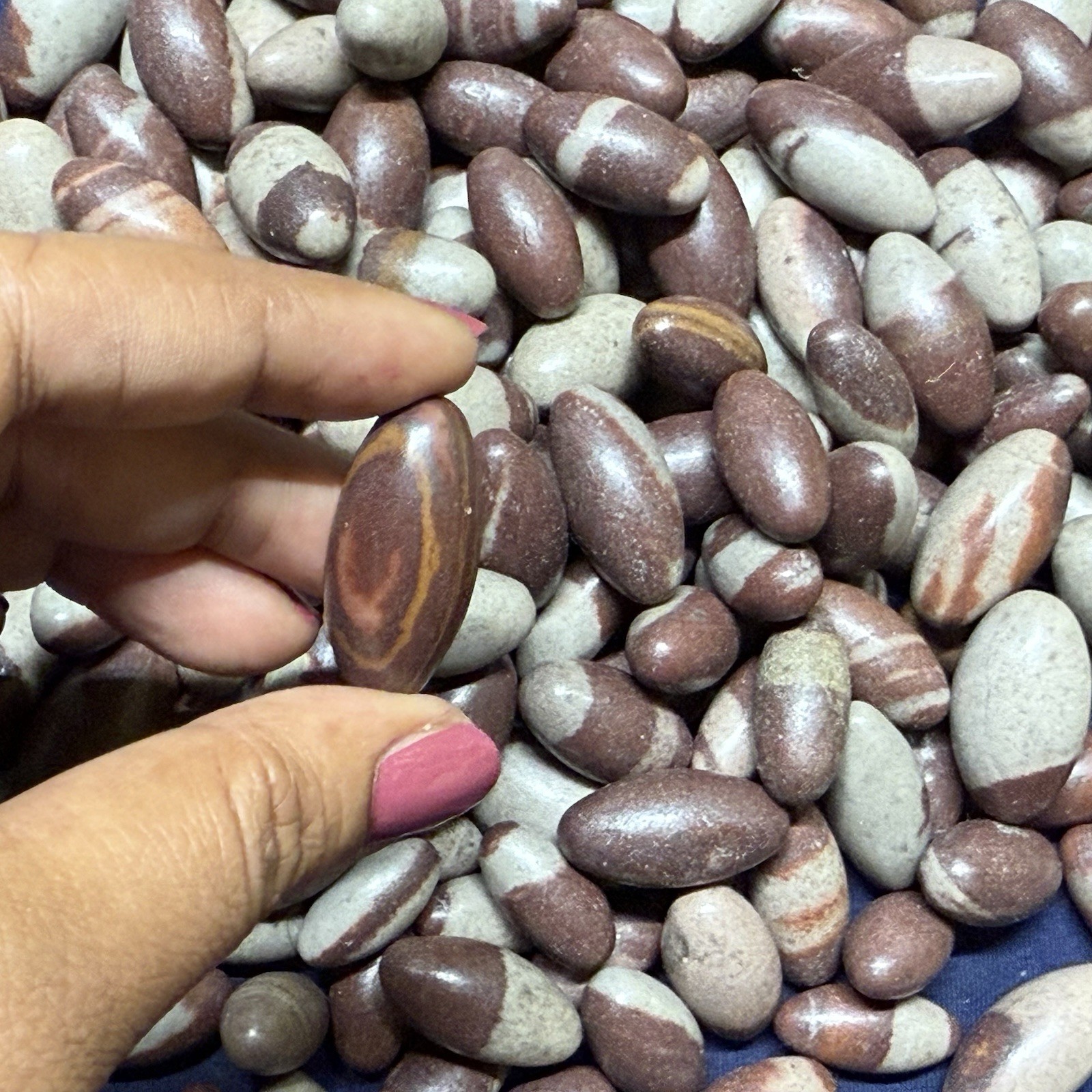 10 pc small 1” Shiva Lingam stone from India – Narmada River High Quality