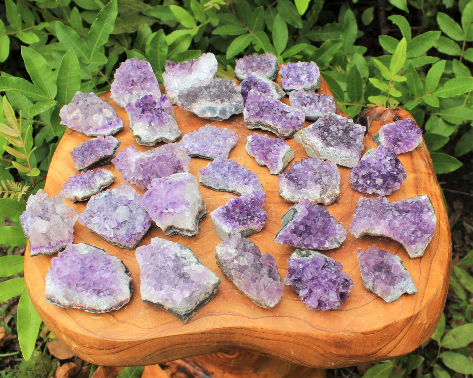 Bulk Lot 1 Kilo (2.2 lb) Amethyst Crystal Cluster Small Specimens 15 – 25 Pieces