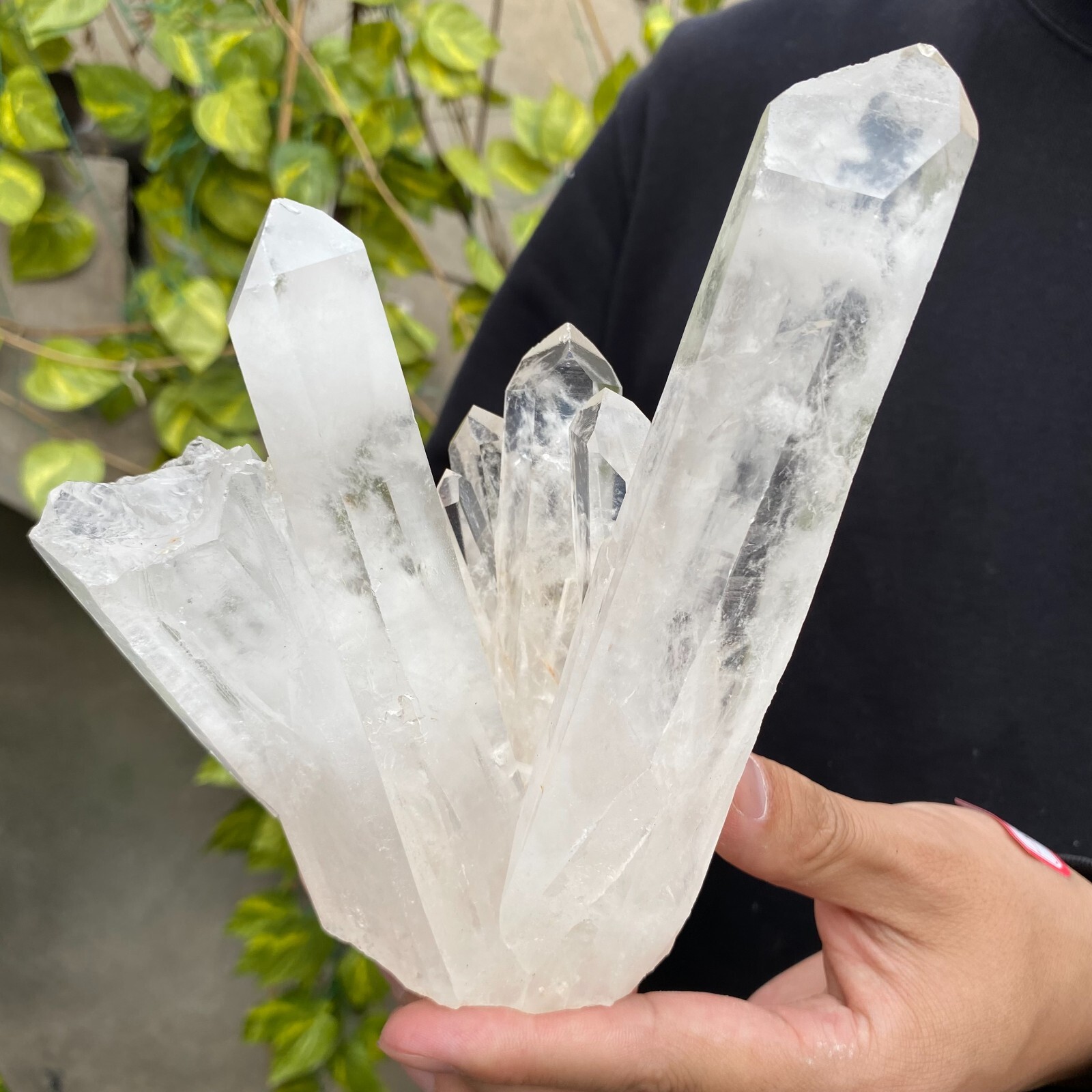 2.3lb Natural Clear White quart Crystal Cluster Raw Healing Specimen