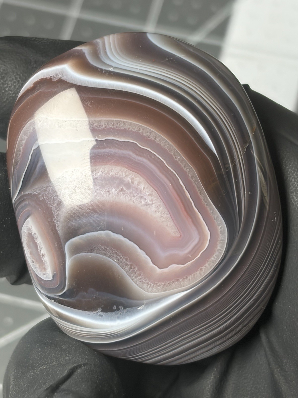 Beautiful Botswana Agate Palm Stone Banding Colorful