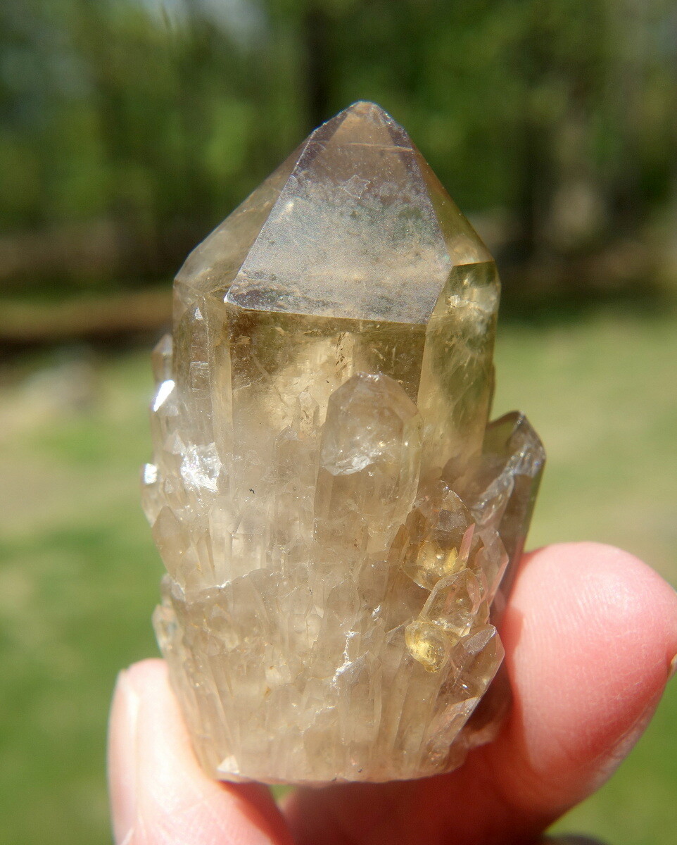 Kundalini Citrine Elestial Crystal Lightbrary Lwena Deposit DRC