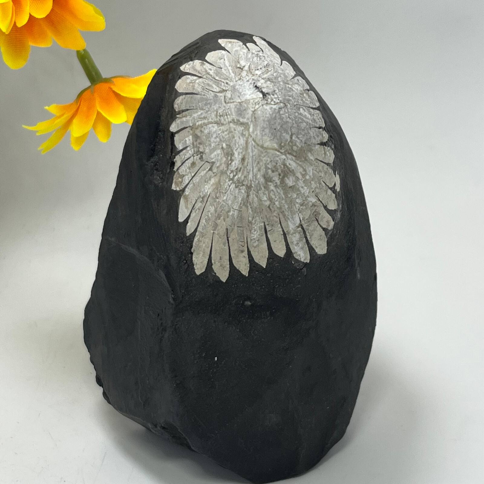 454G Natural chrysanthemum stone Crystal quartz carving aura Specimen healing