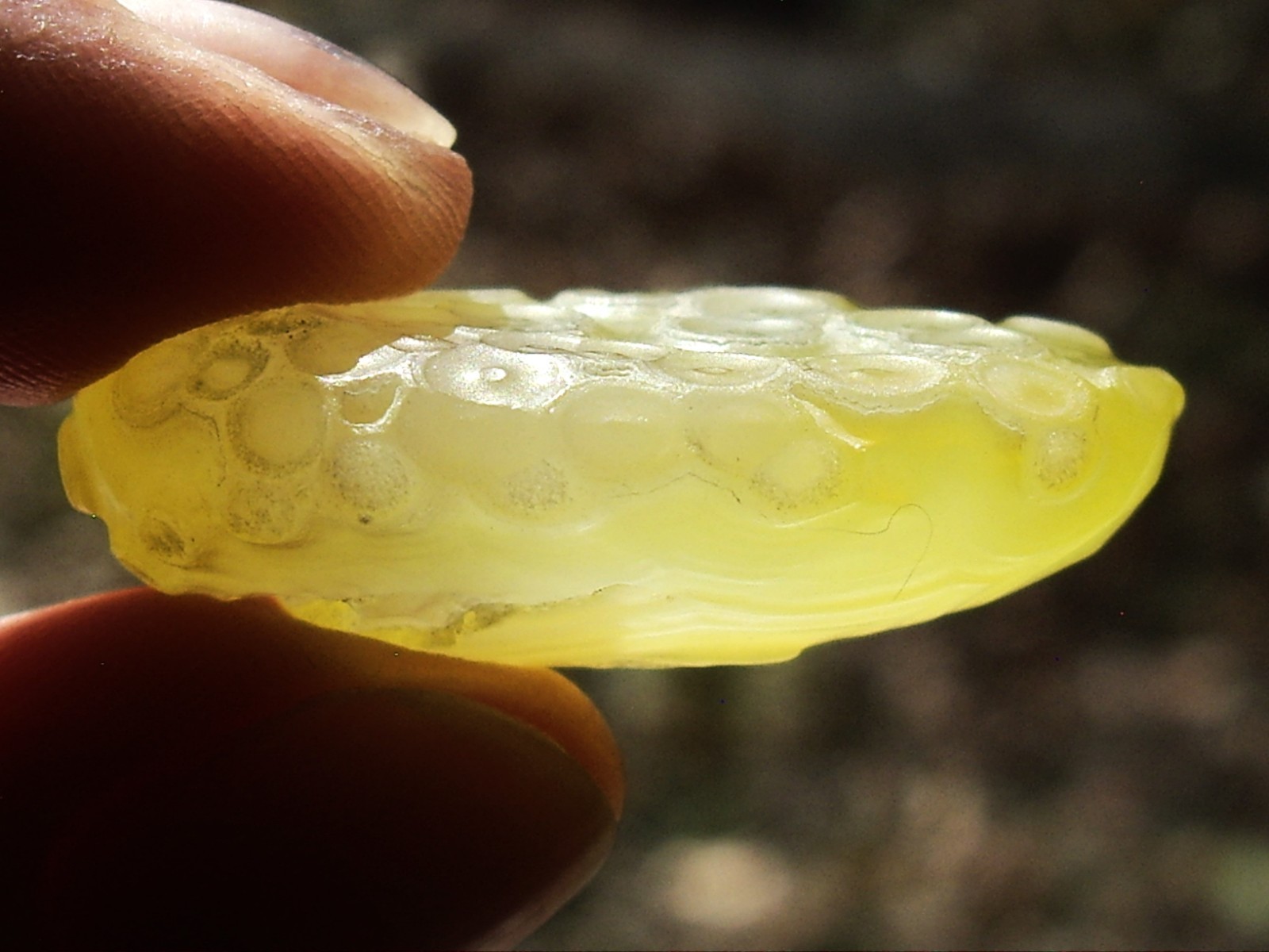 Natural Translucent Yellow Gobi Desert Agate “Gobi Stone” 10.5g