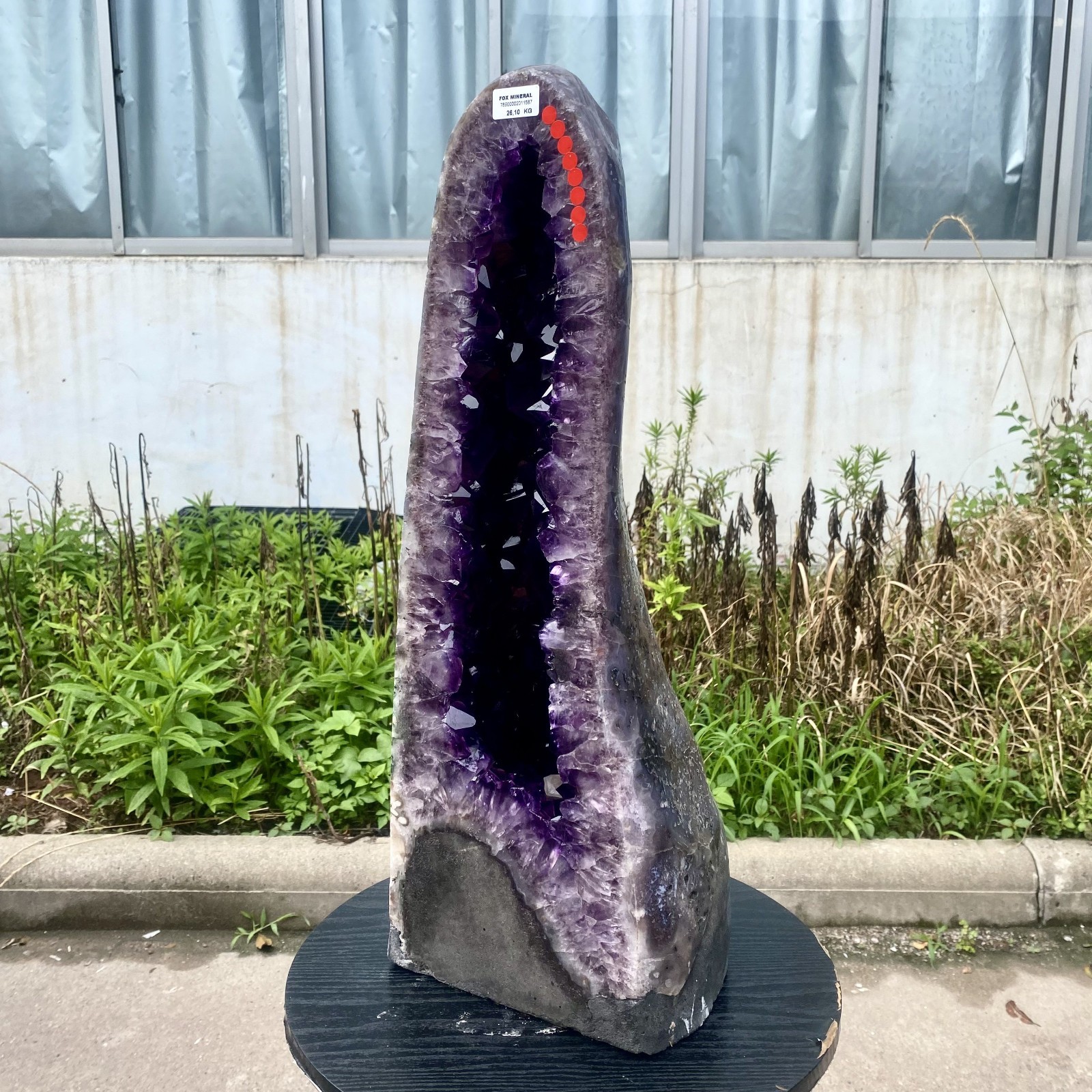 57LB Large Natural Amethyst Geode Cathedral Crystal Cluster Specimen Healing
