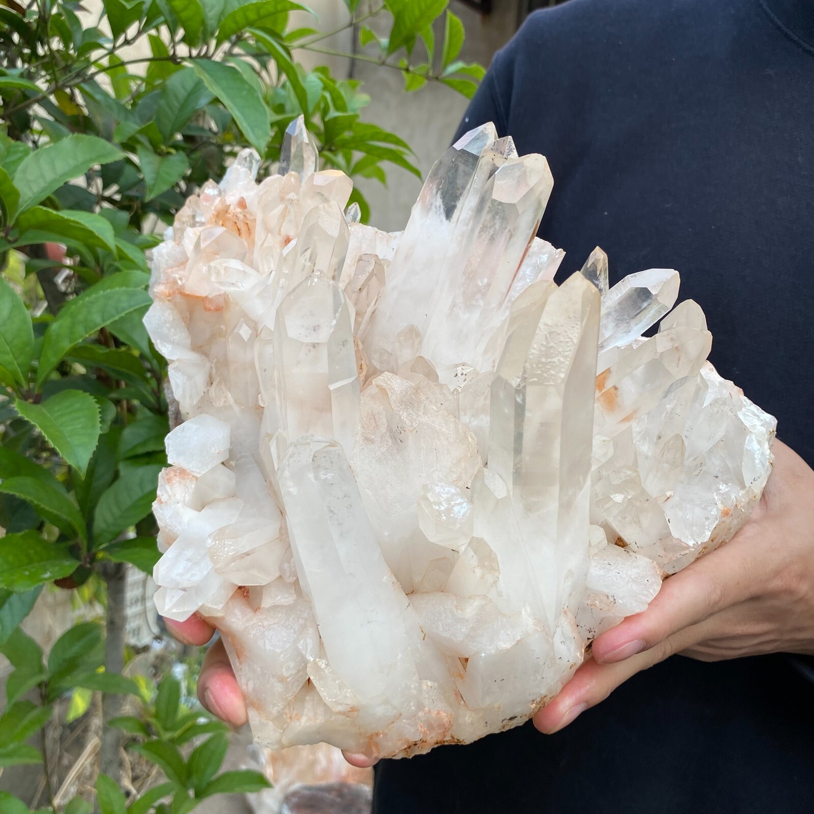 9lb Natural Clear White quart Crystal Cluster Raw Healing Specimen