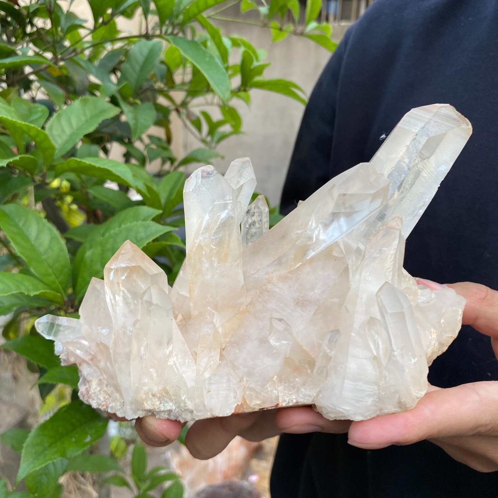 2lb Natural Clear White quart Crystal Cluster Raw Healing Specimen