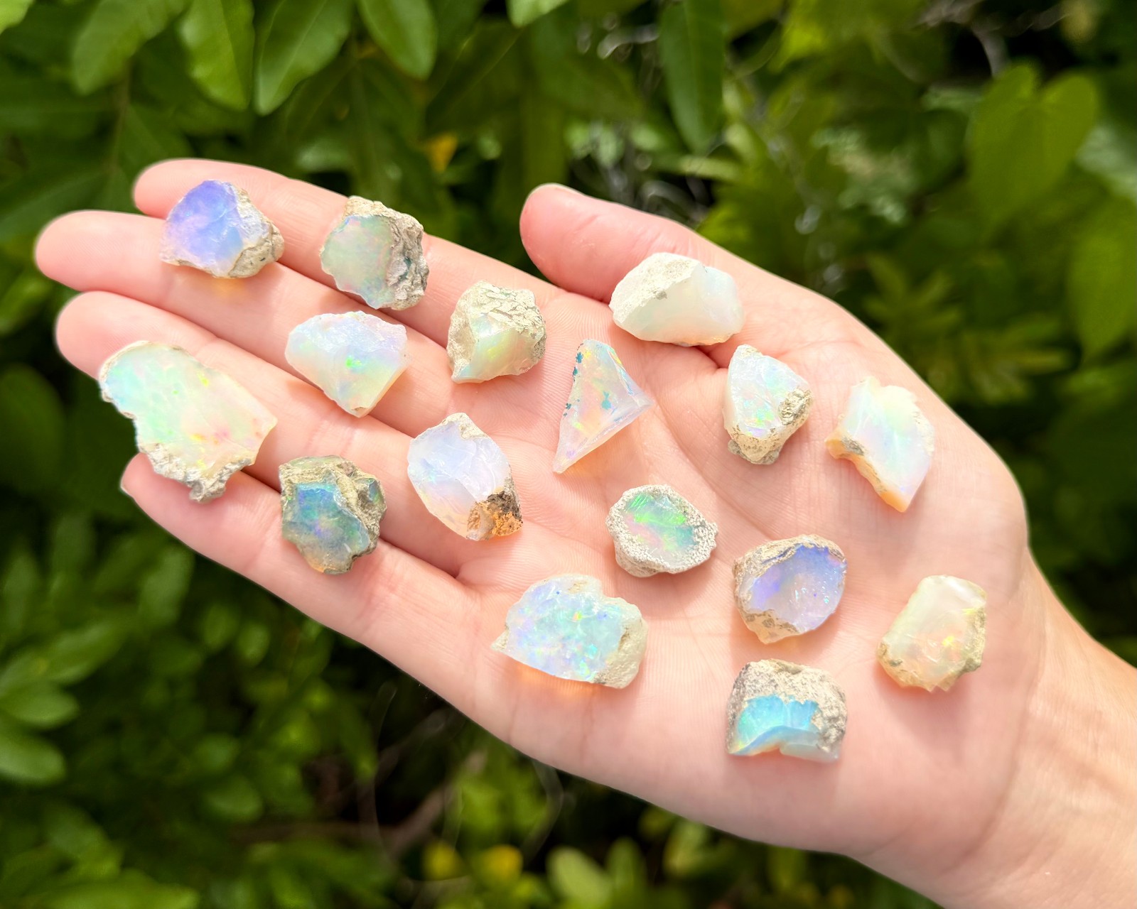 Natural Ethiopian Opal Rough Crystals, AA Grade Raw Opal Specimens – Choose Size