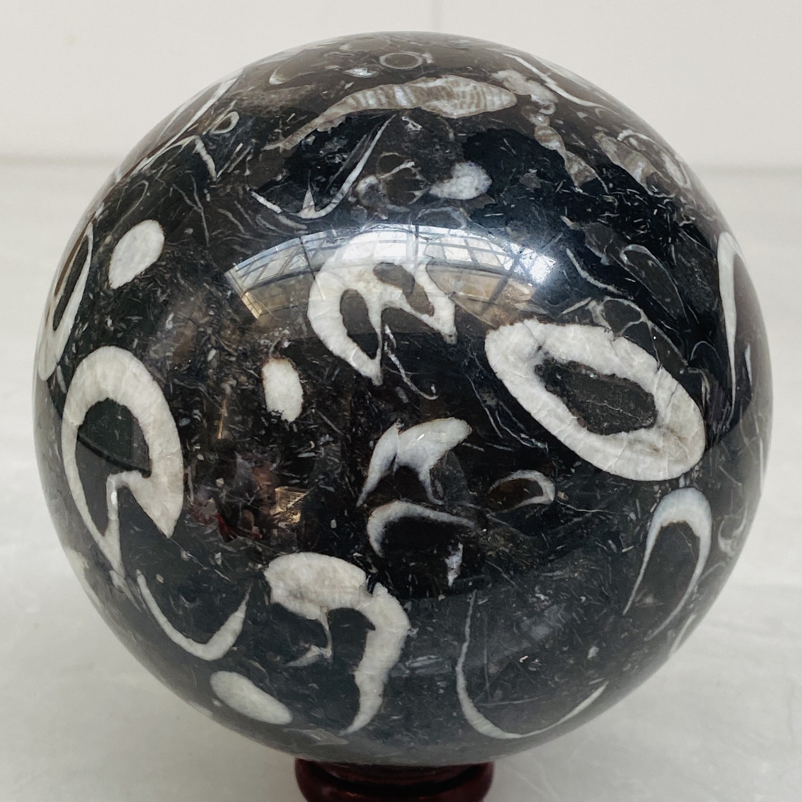 Natural Shell Jasper Thousand Eye Stone Crystal Polished Ball Healing (4.98LB)