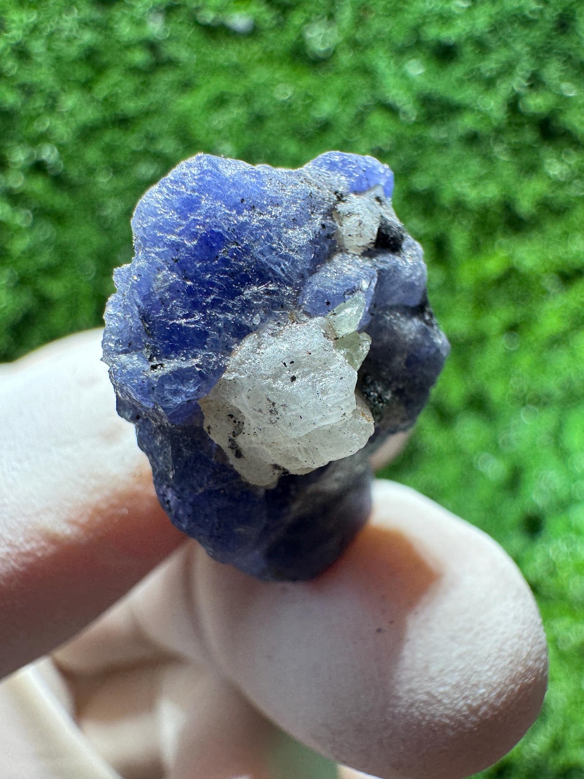 TANZANITE Crystal with COLOR CHANGE under / N638