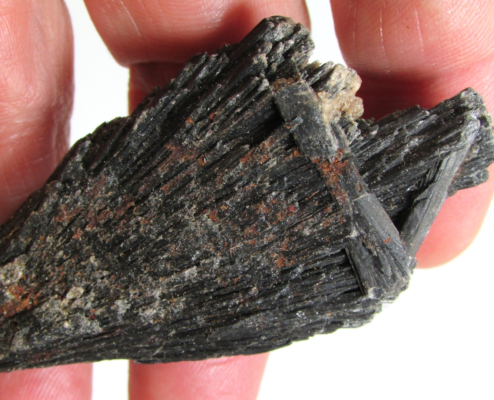 Black Kyanite Blade / Wing from Brazil Mica and Quartz Attached Celtic Cross