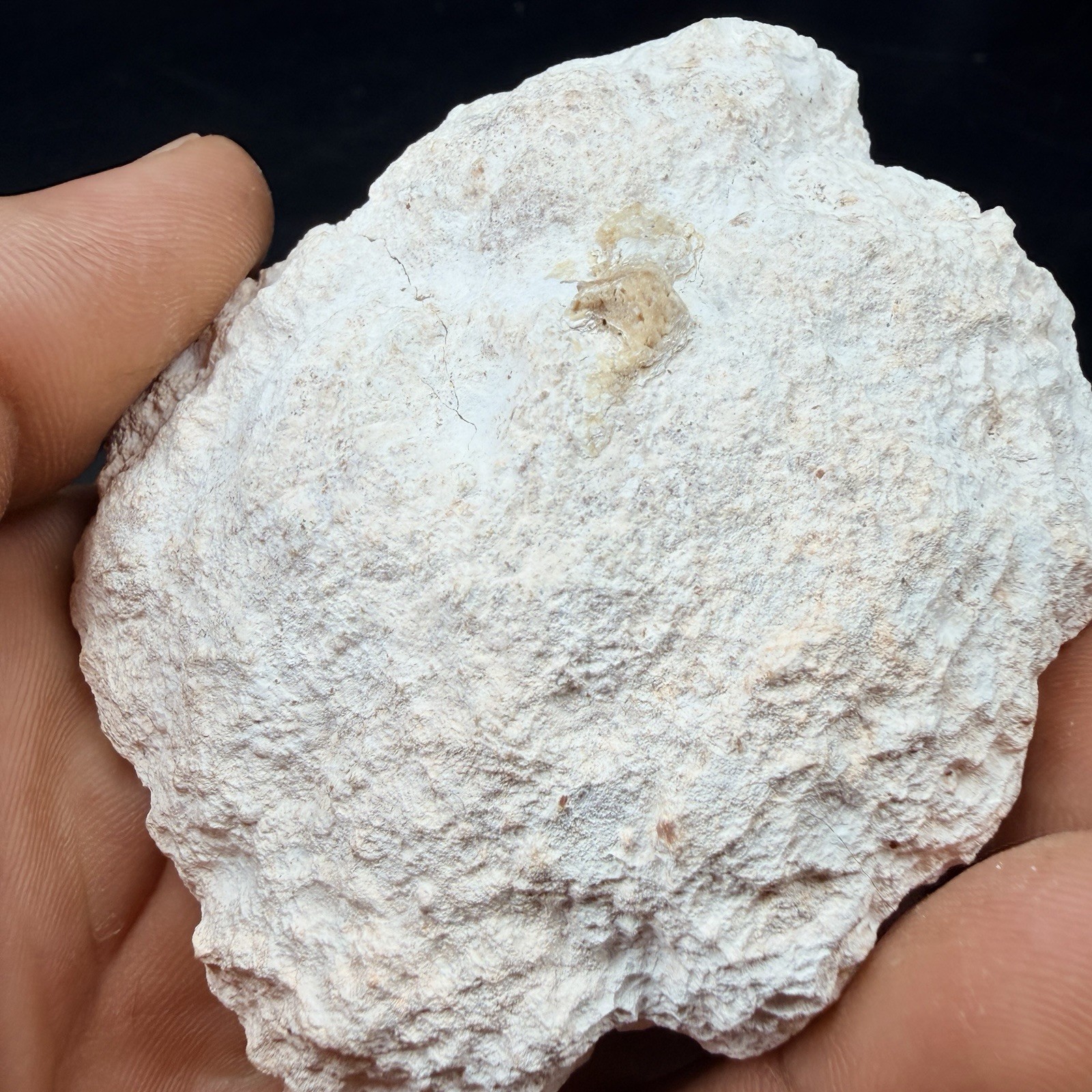 Pink Amethyst Quartz Crystal from Geode Patagonia, Argentina *Video*