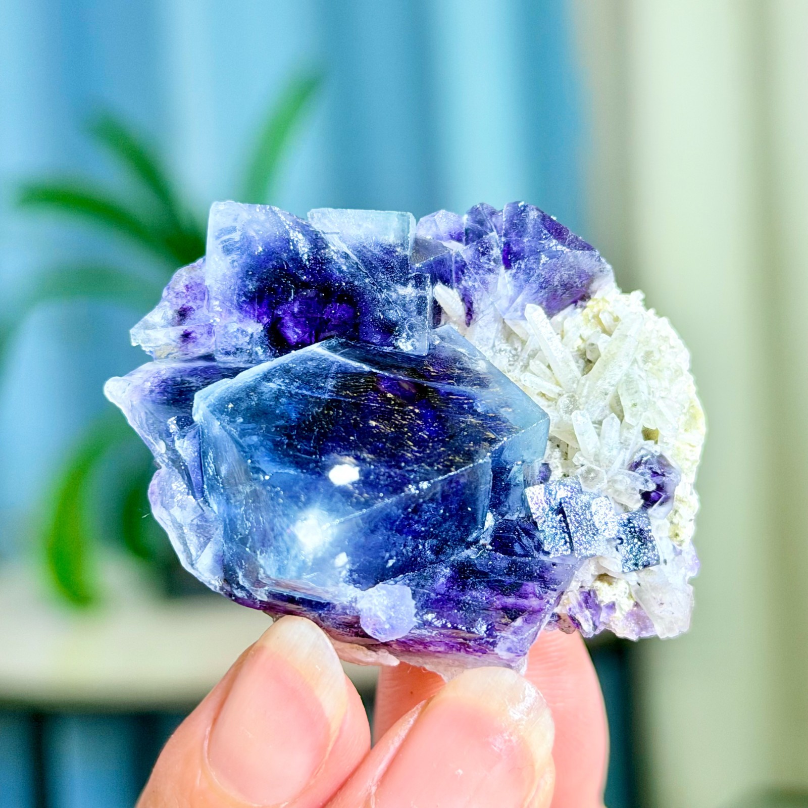 56G Rare Transparent Purple Cubic Fluorite with Clear Crystal Mineral Sample