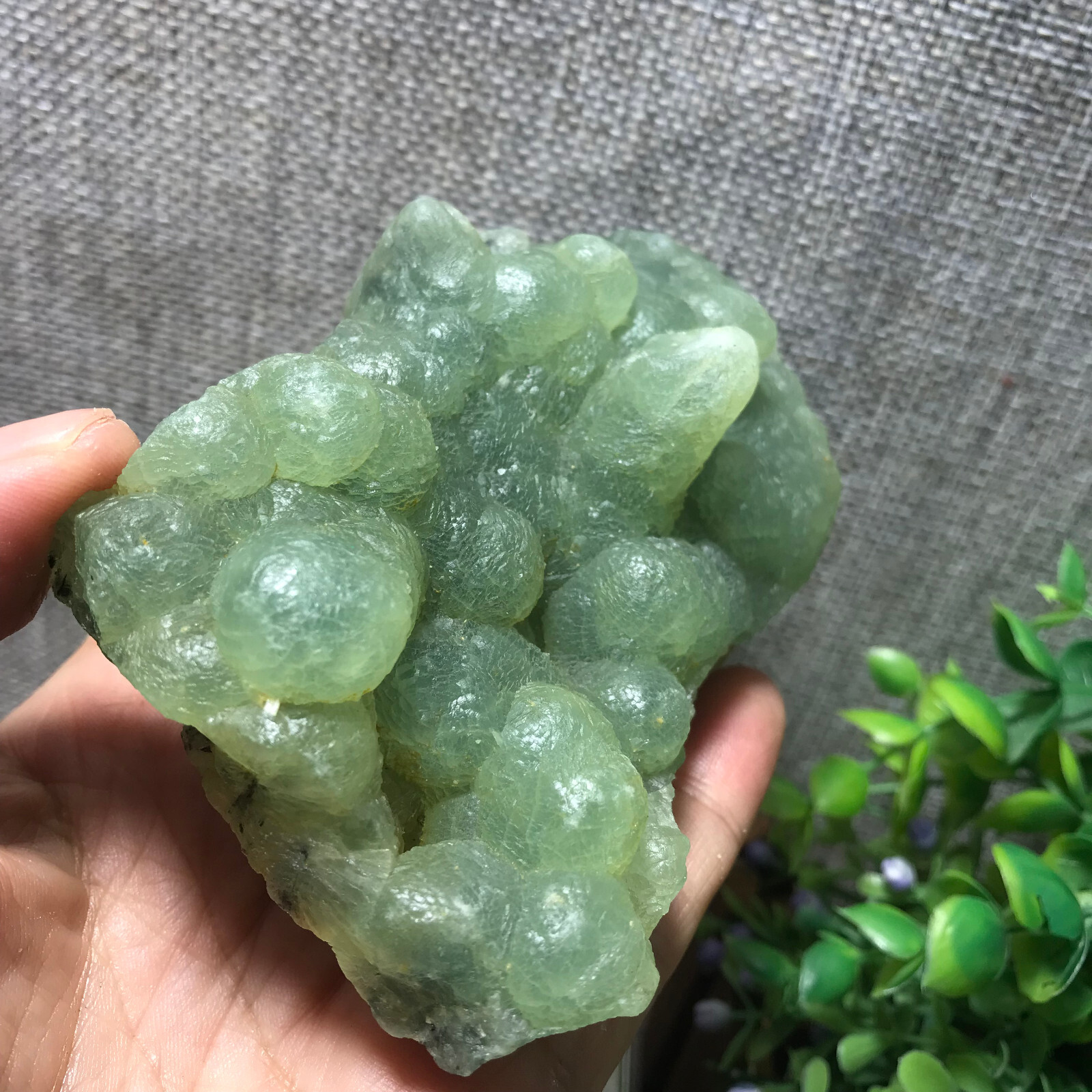 265g Natural Green chalcedony grape agate crystal specimen Indonesia 05