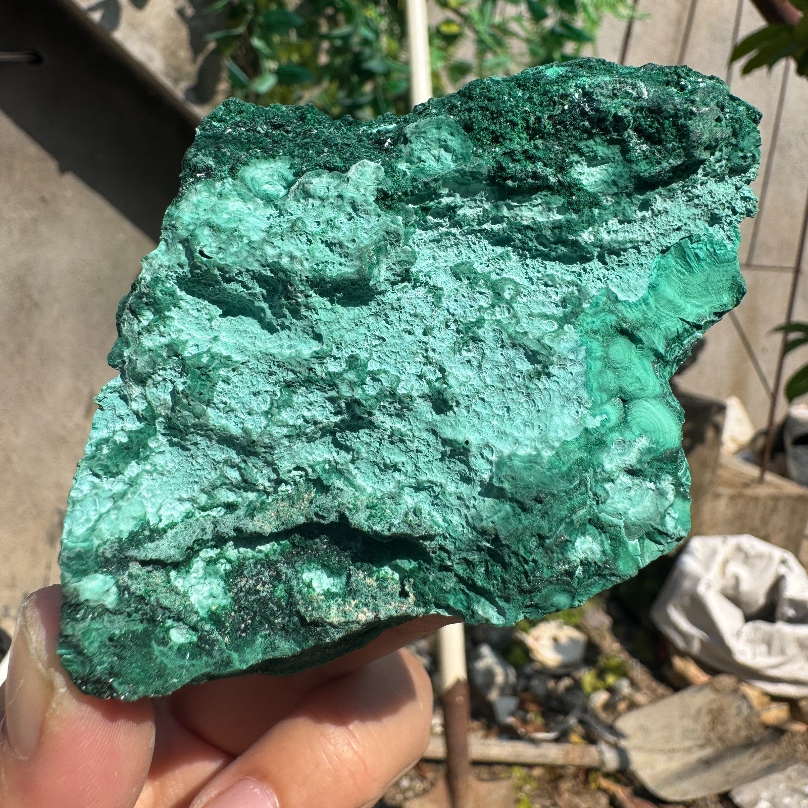 250G Natural Malachite crystal quartz Mineral Specimen Reiki congo