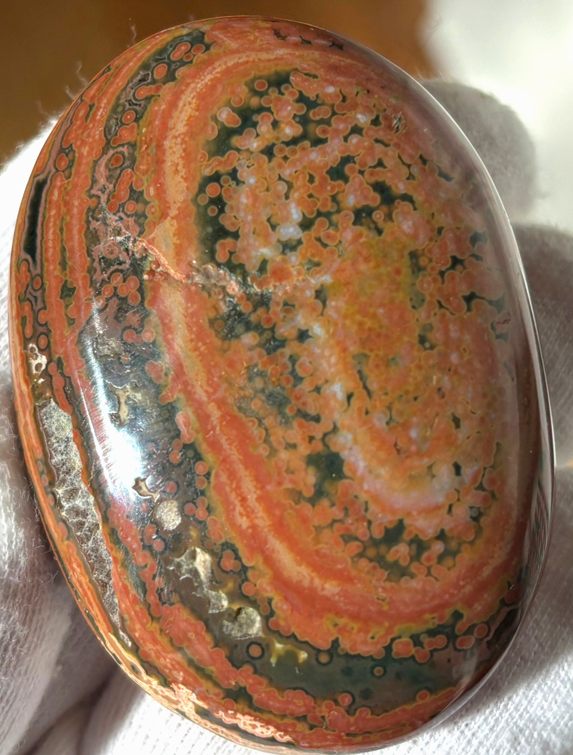 USA SALE 177g LOT OCEAN JASPER OJ PALMSTONES PALM STONE STONES PALMSTONE VIBRANT