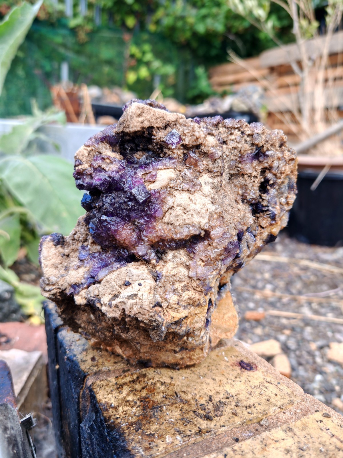 Blue John Fluorite Large Raw Crystal Cluster On Fossil Matrix