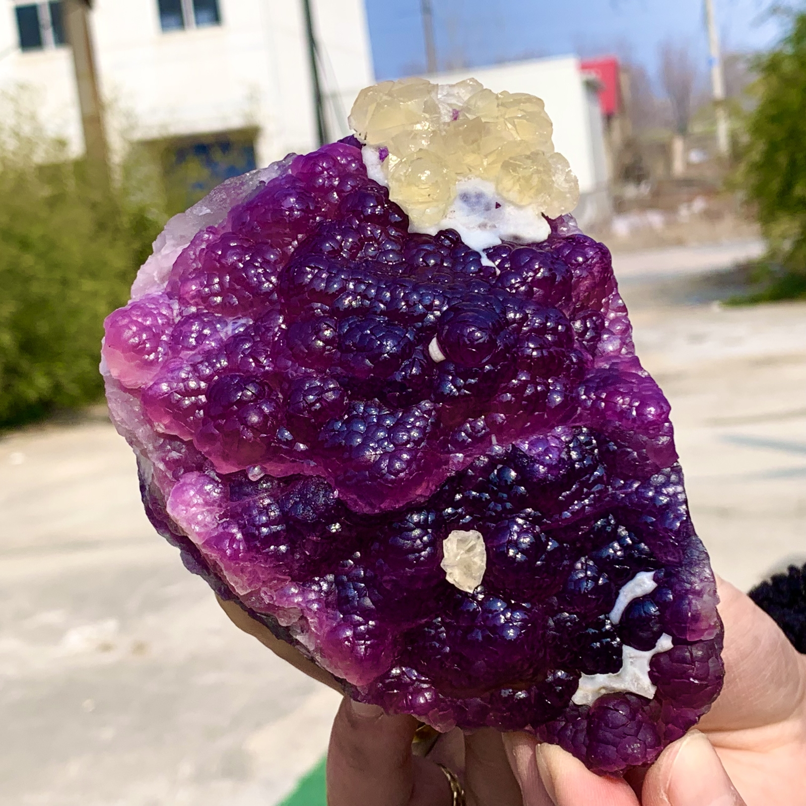 2.40LB Complete rare and gorgeous purple fluorite from Inner Mongolia, China